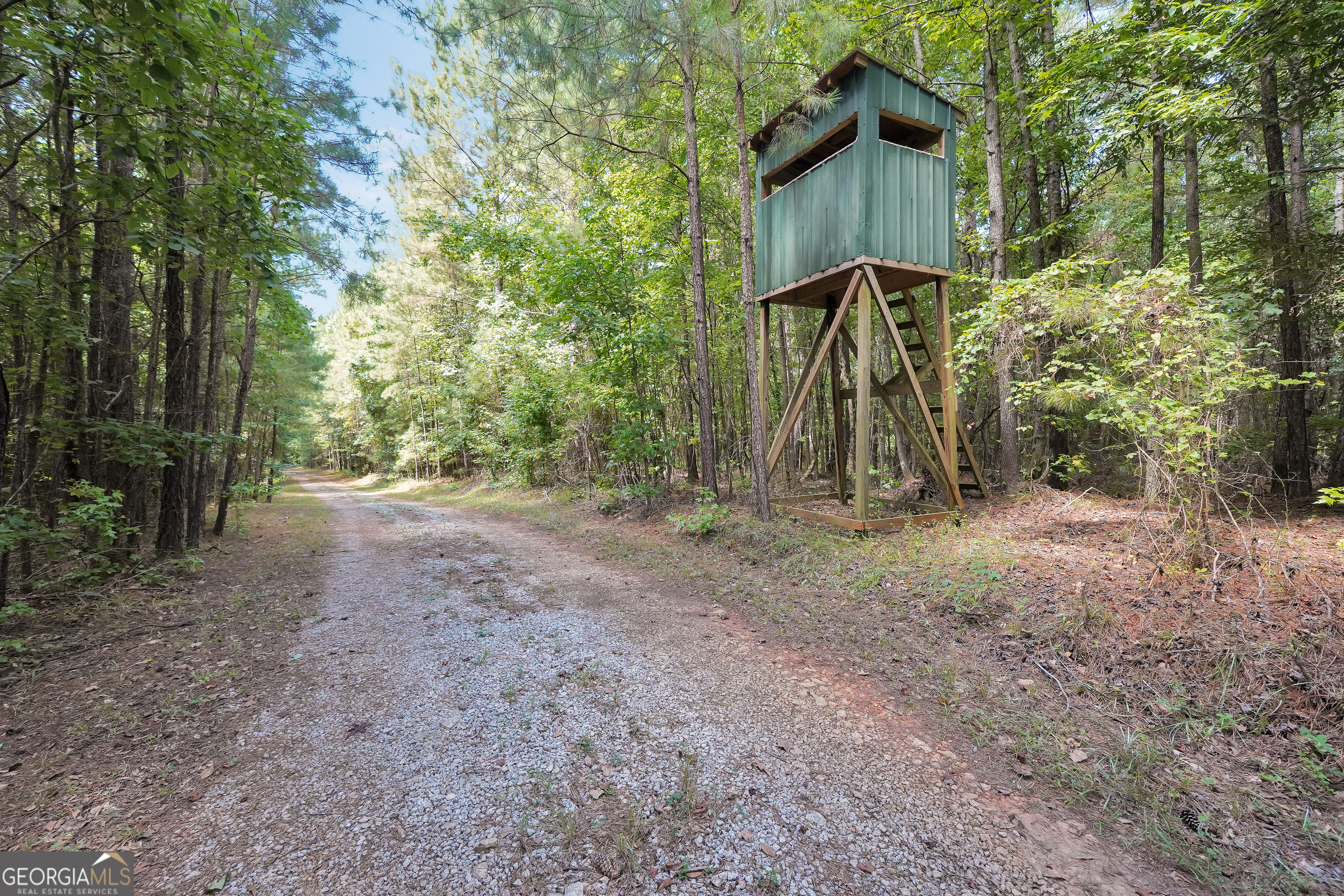0 Scuffleboro Road Southeast Eatonton, GA 31024 - Photo 32 of 77 a view of a backyard