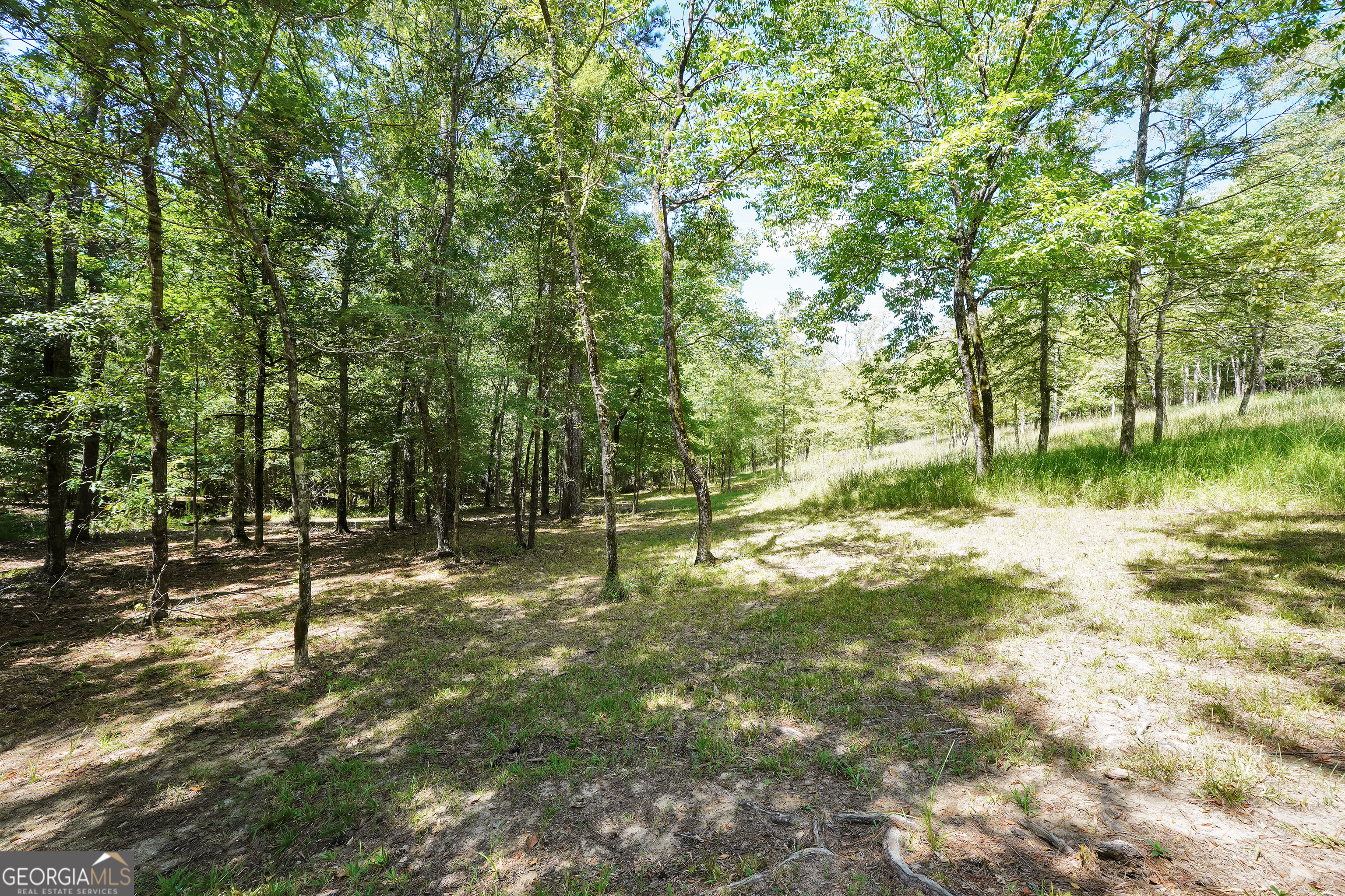 0 Scuffleboro Road Southeast Eatonton, GA 31024 - Photo 34 of 77