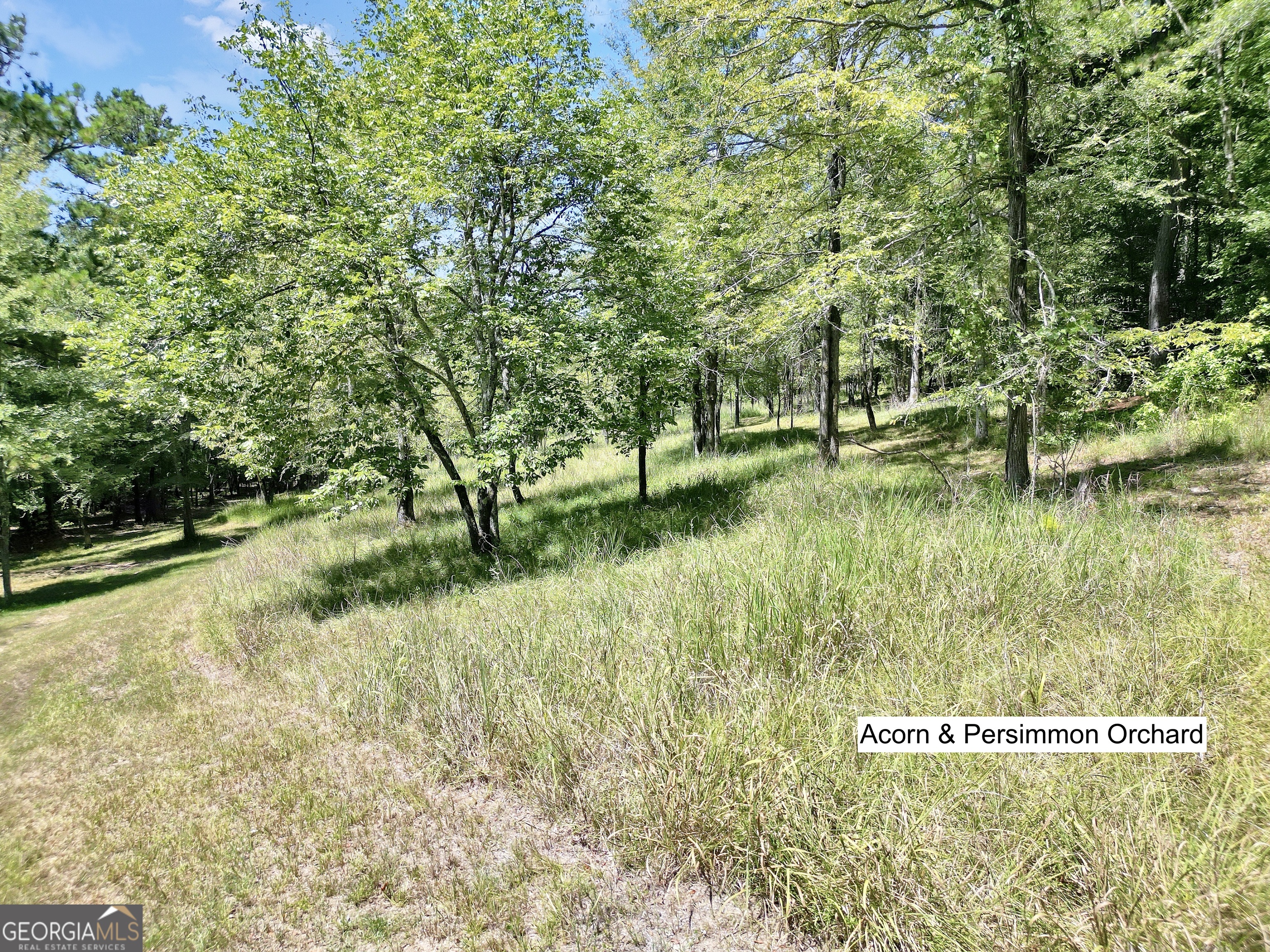 0 Scuffleboro Road Southeast Eatonton, GA 31024 - Photo 37 of 77