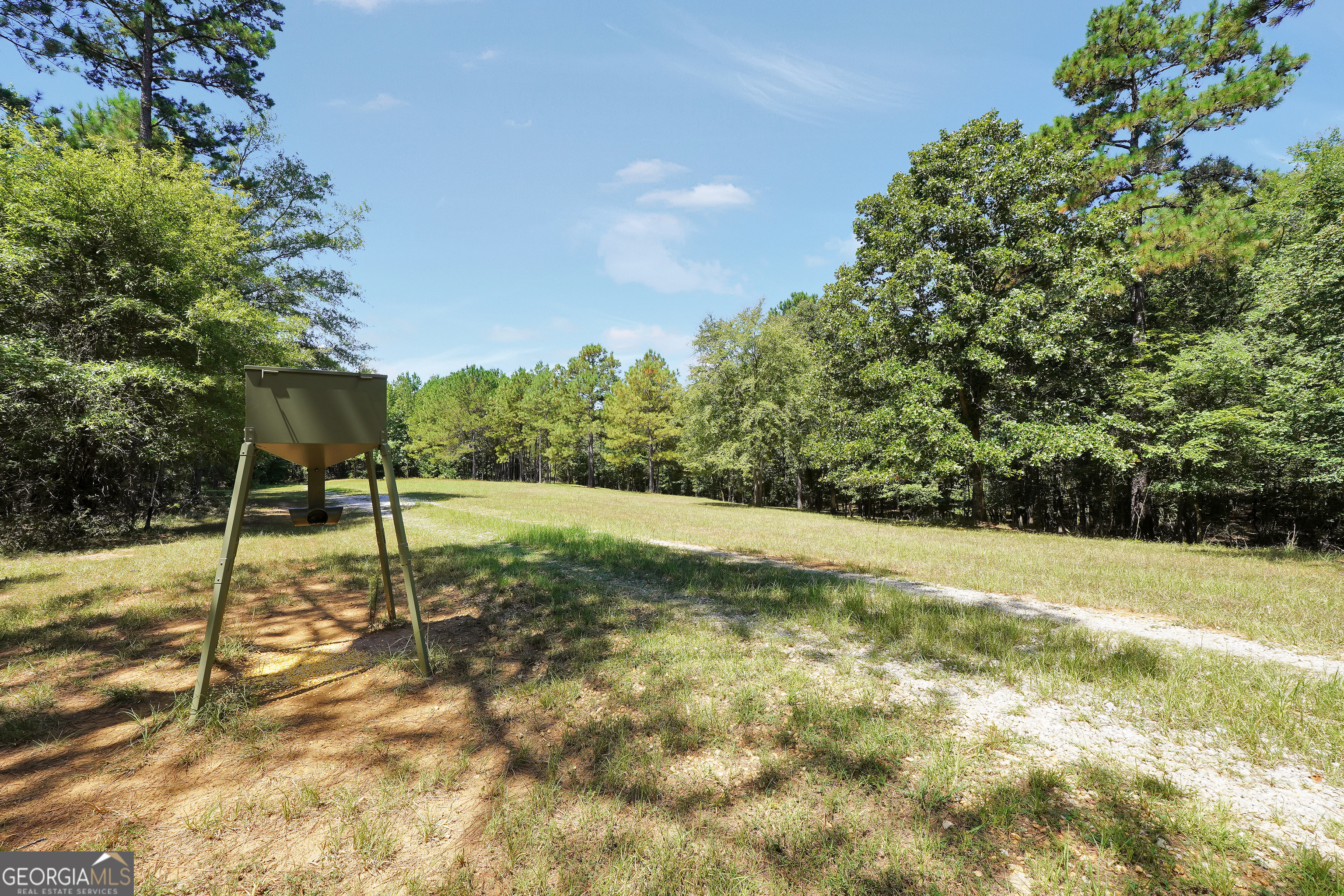 0 Scuffleboro Road Southeast Eatonton, GA 31024 - Photo 38 of 77 a backyard of a house with a yard and entertaining space