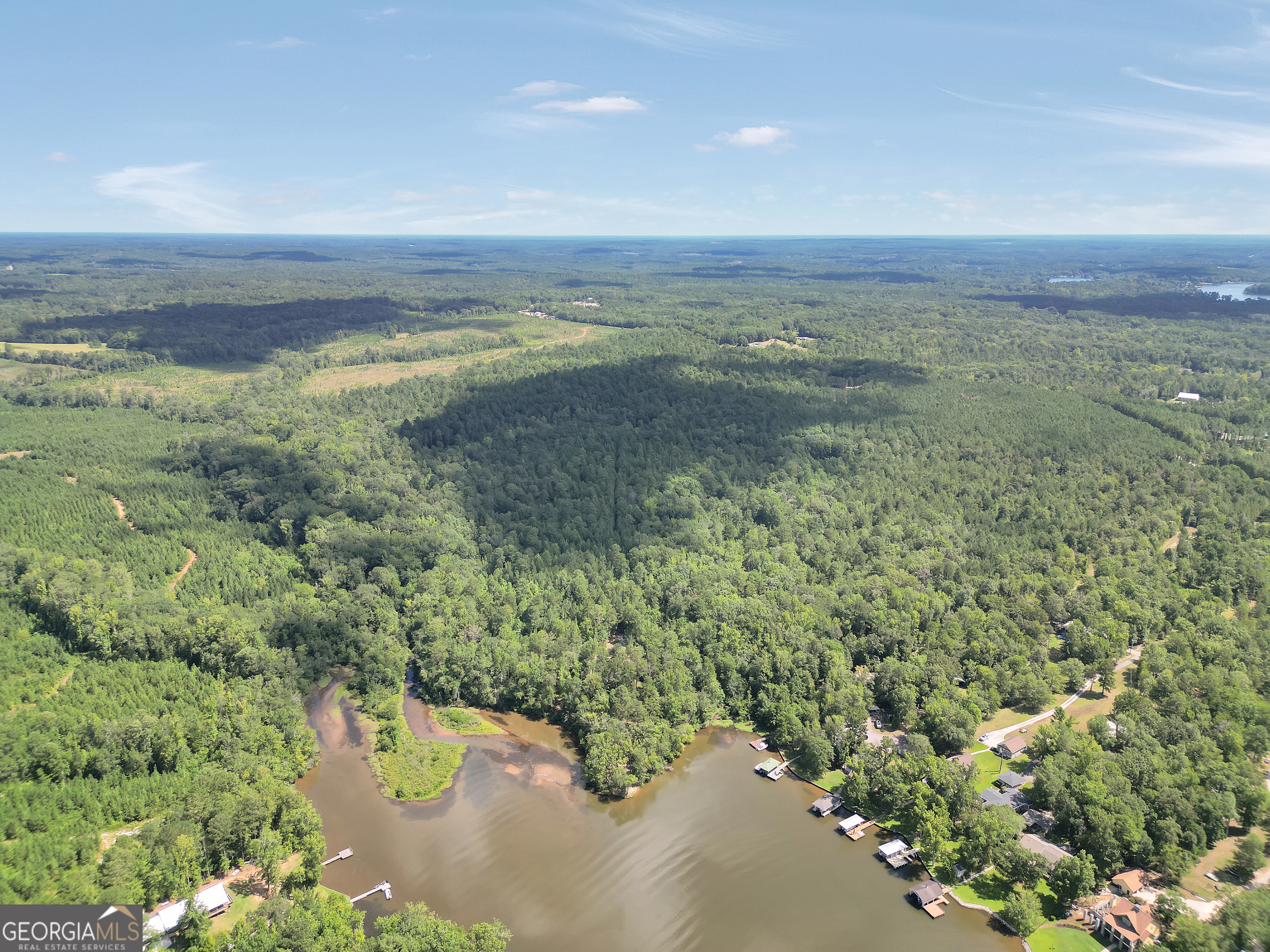 0 Scuffleboro Road Southeast Eatonton, GA 31024 - Photo 4 of 77