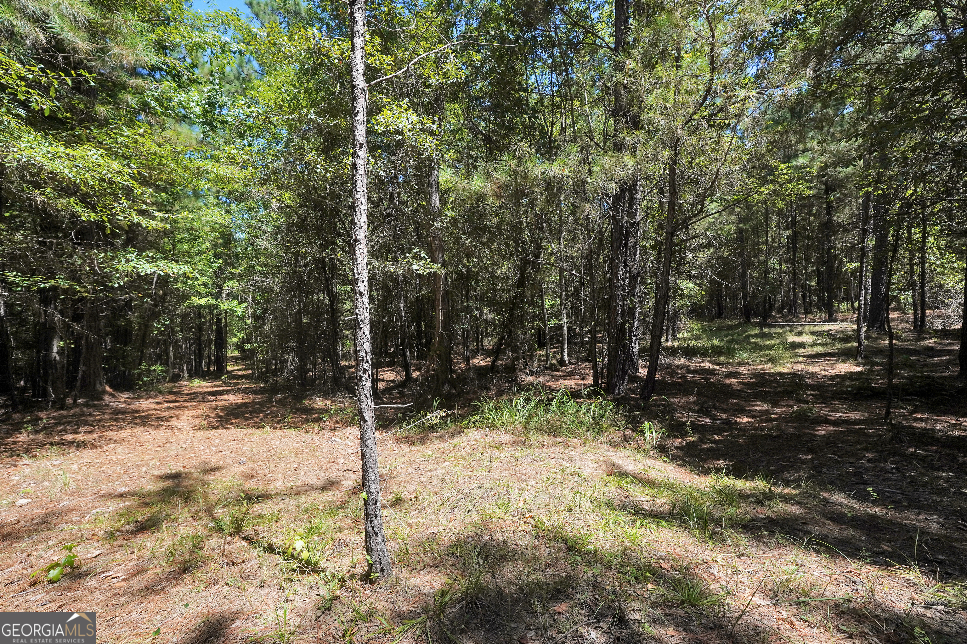 0 Scuffleboro Road Southeast Eatonton, GA 31024 - Photo 44 of 77 a view of a tree in the middle of a yard