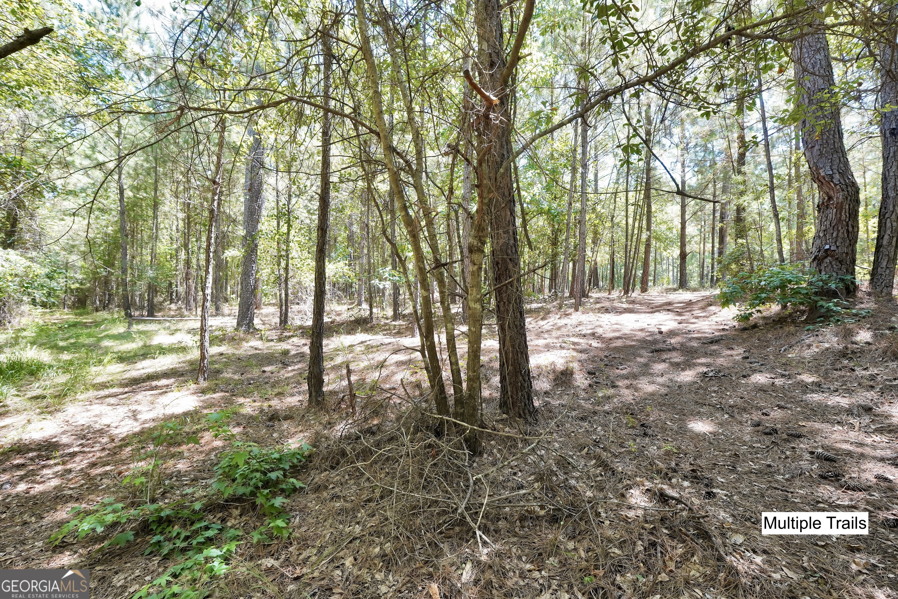 0 Scuffleboro Road Southeast Eatonton, GA 31024 - Photo 45 of 77 a view of outdoor space with trees