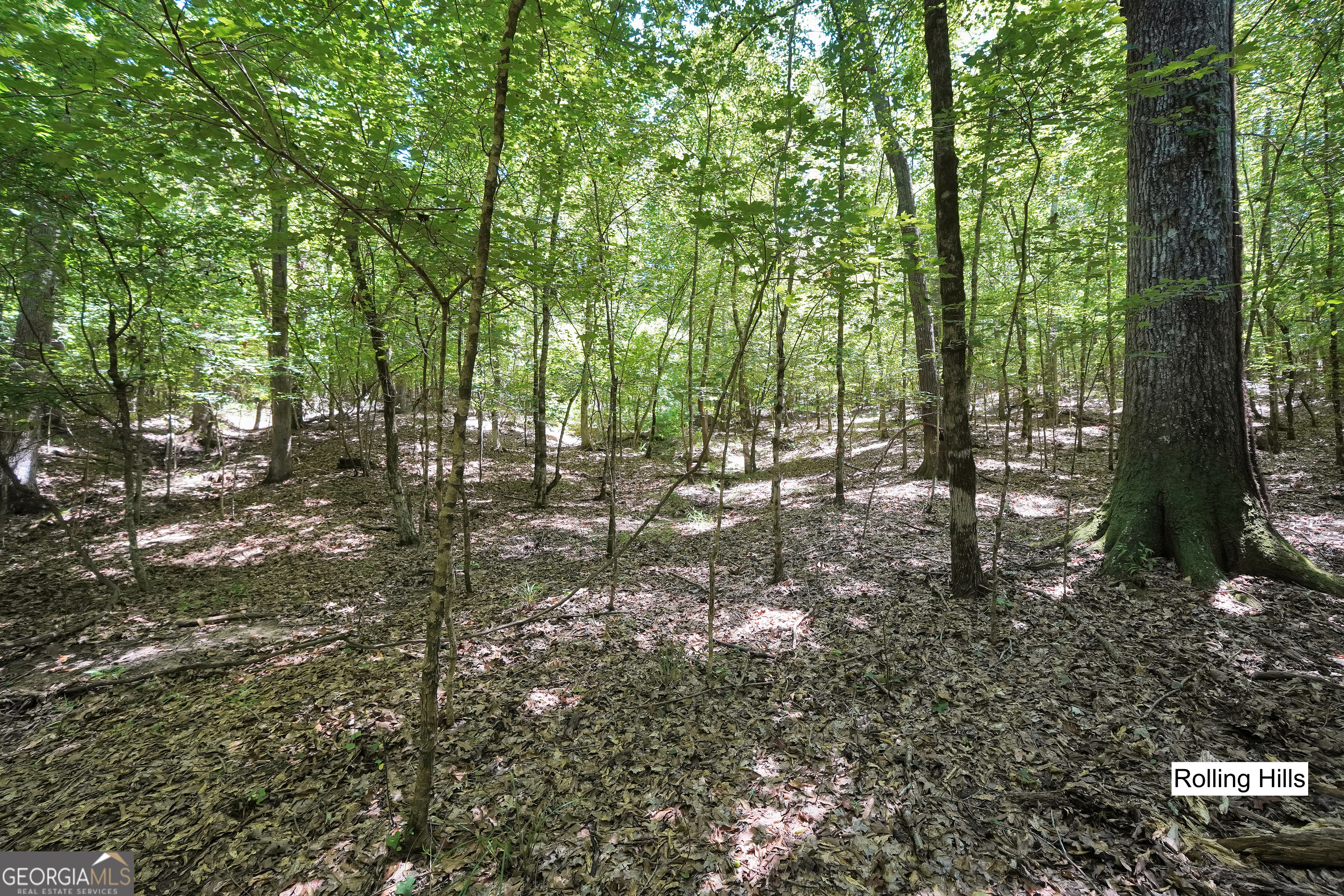 0 Scuffleboro Road Southeast Eatonton, GA 31024 - Photo 46 of 77