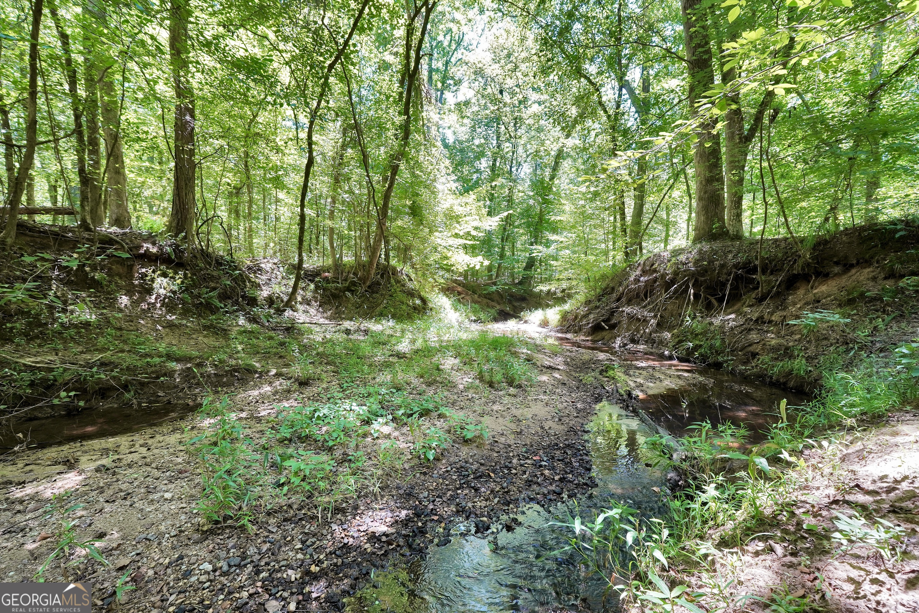 0 Scuffleboro Road Southeast Eatonton, GA 31024 - Photo 48 of 77