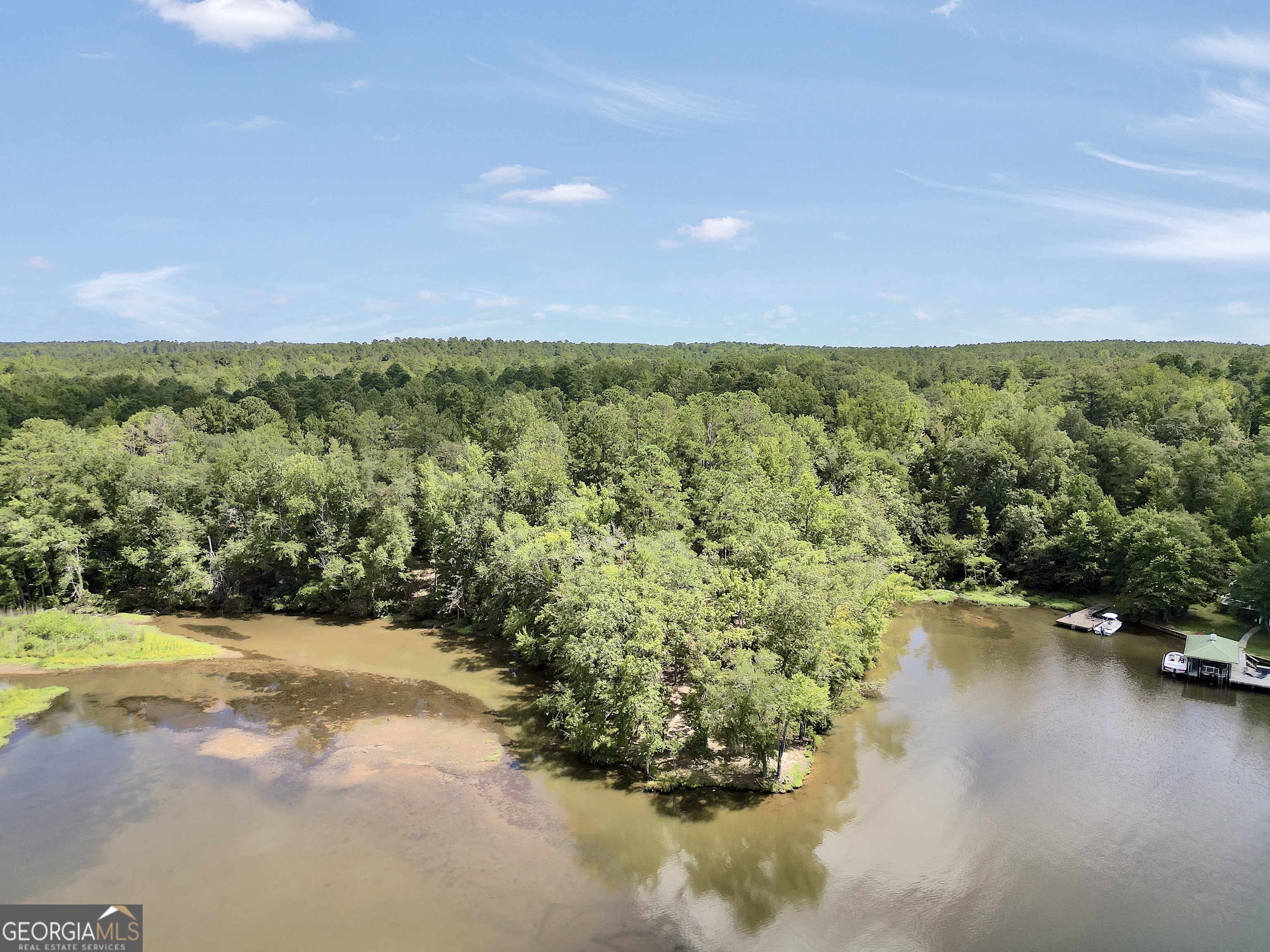 0 Scuffleboro Road Southeast Eatonton, GA 31024 - Photo 5 of 77 a view of a lake with a yard