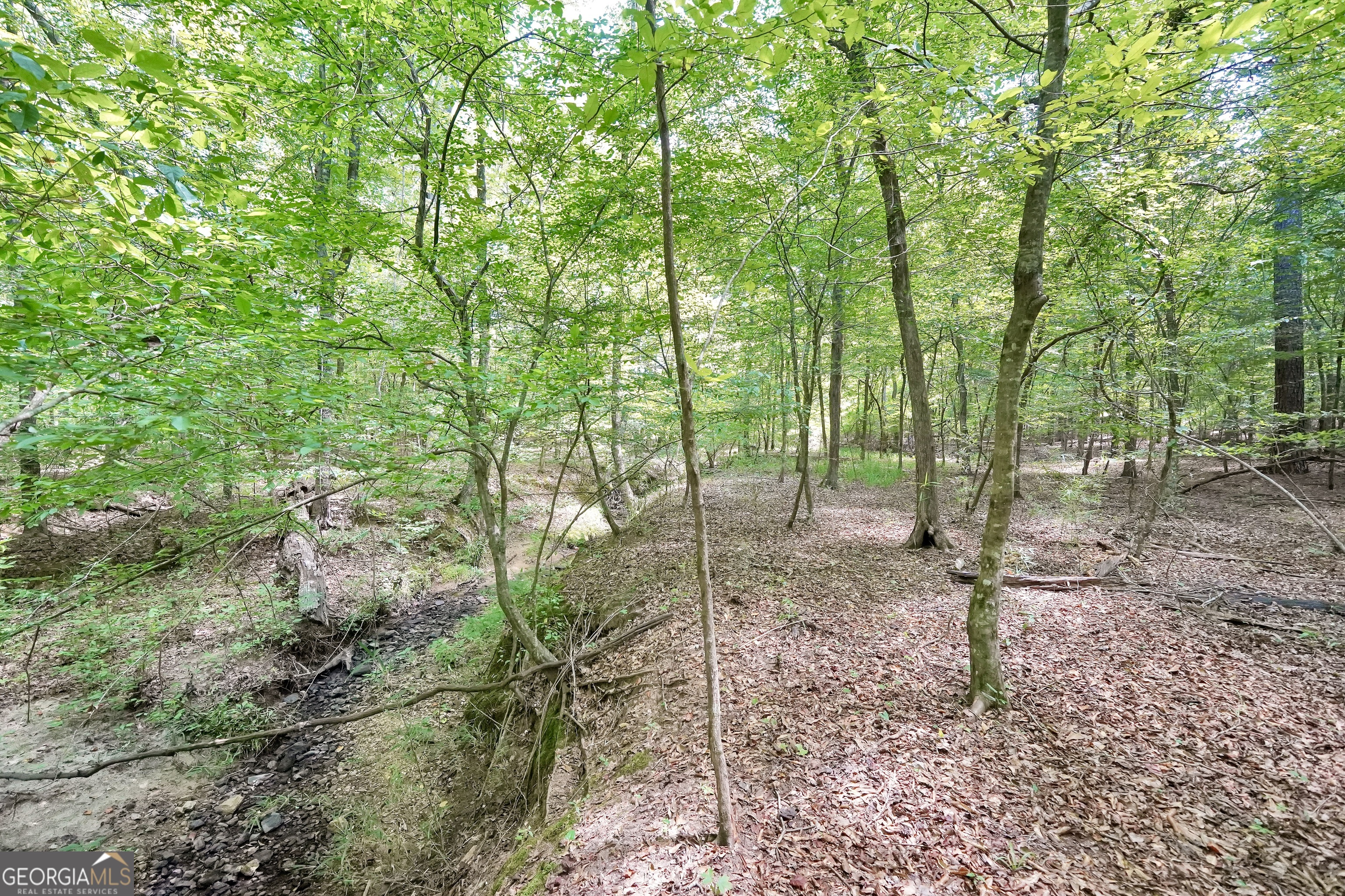 0 Scuffleboro Road Southeast Eatonton, GA 31024 - Photo 51 of 77 a view of a forest with trees