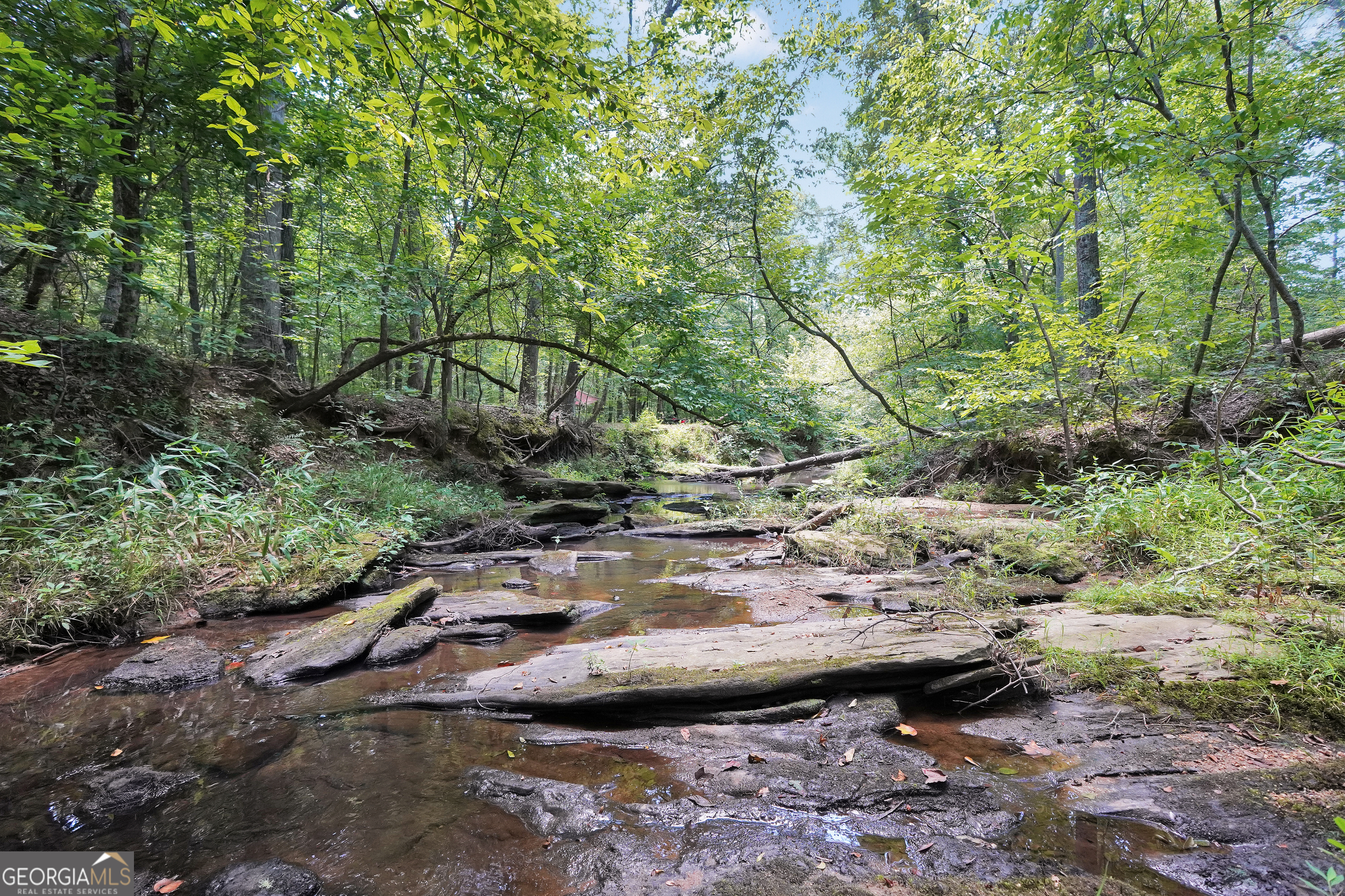 0 Scuffleboro Road Southeast Eatonton, GA 31024 - Photo 54 of 77 a view of a backyard with green space