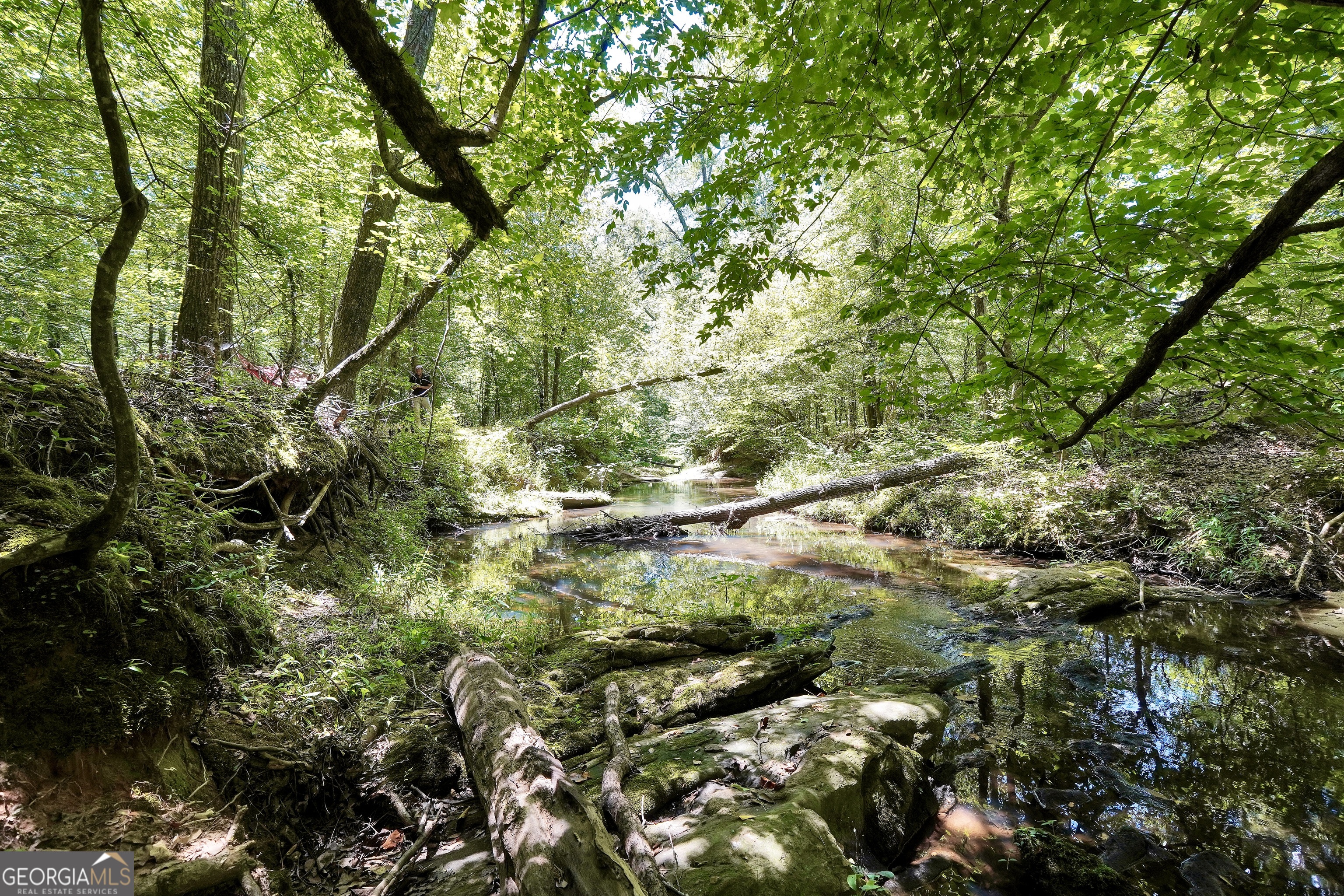 0 Scuffleboro Road Southeast Eatonton, GA 31024 - Photo 55 of 77