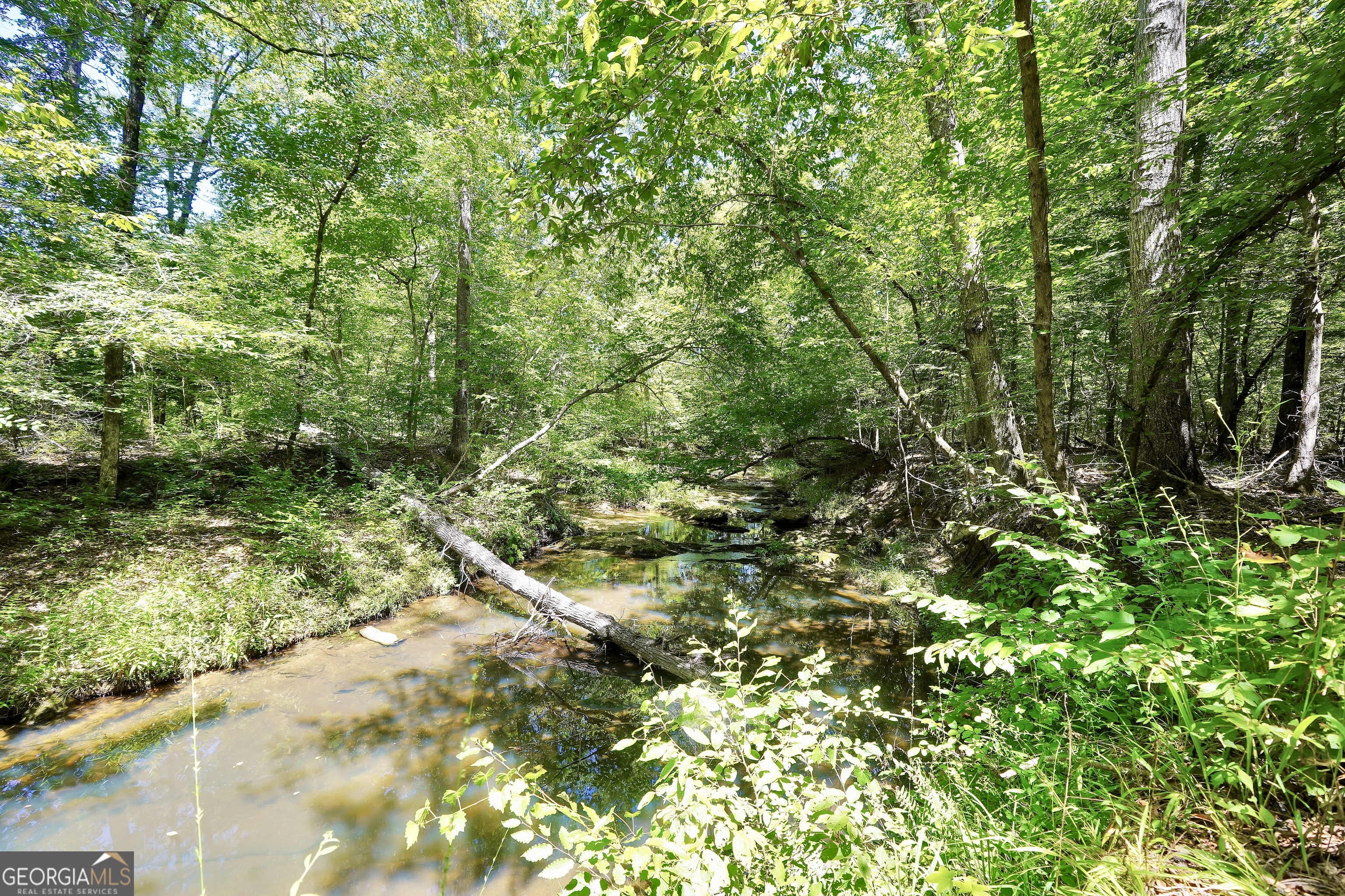0 Scuffleboro Road Southeast Eatonton, GA 31024 - Photo 56 of 77