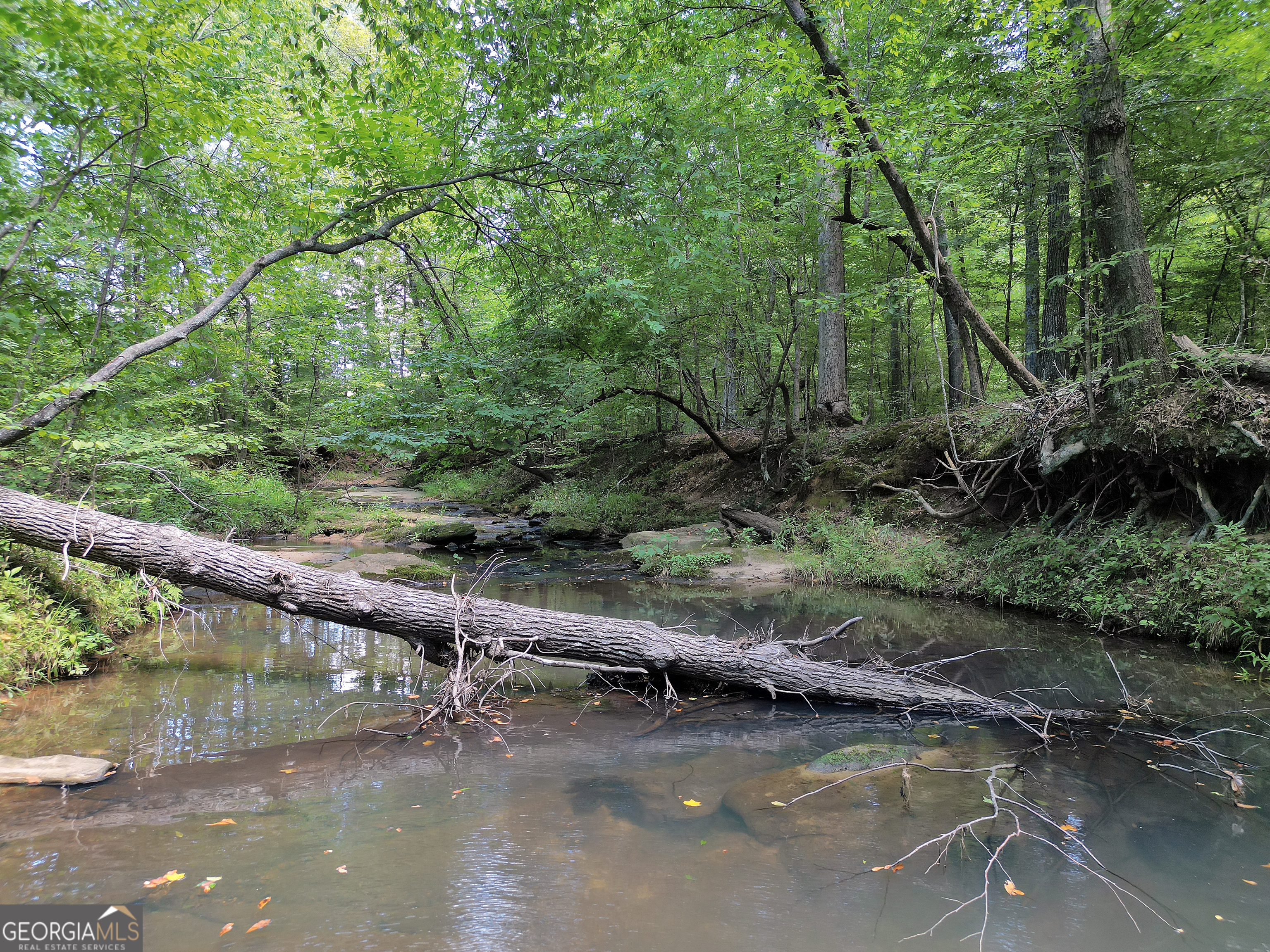 0 Scuffleboro Road Southeast Eatonton, GA 31024 - Photo 60 of 77