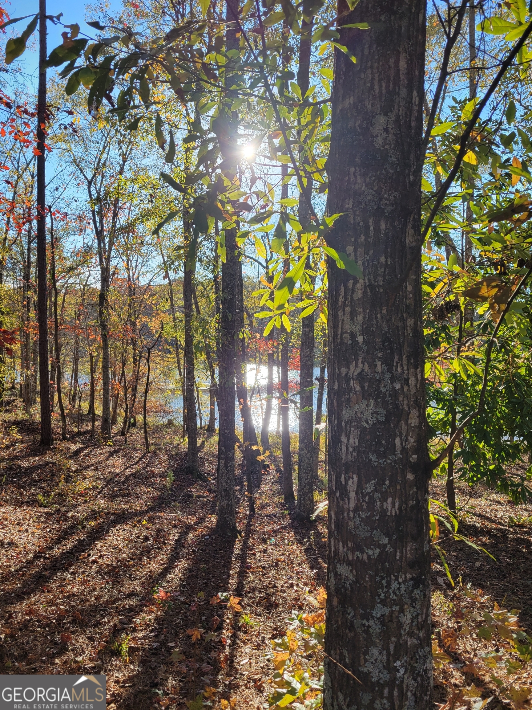 0 Scuffleboro Road Southeast Eatonton, GA 31024 - Photo 62 of 77 a backyard of a house with lots of green space