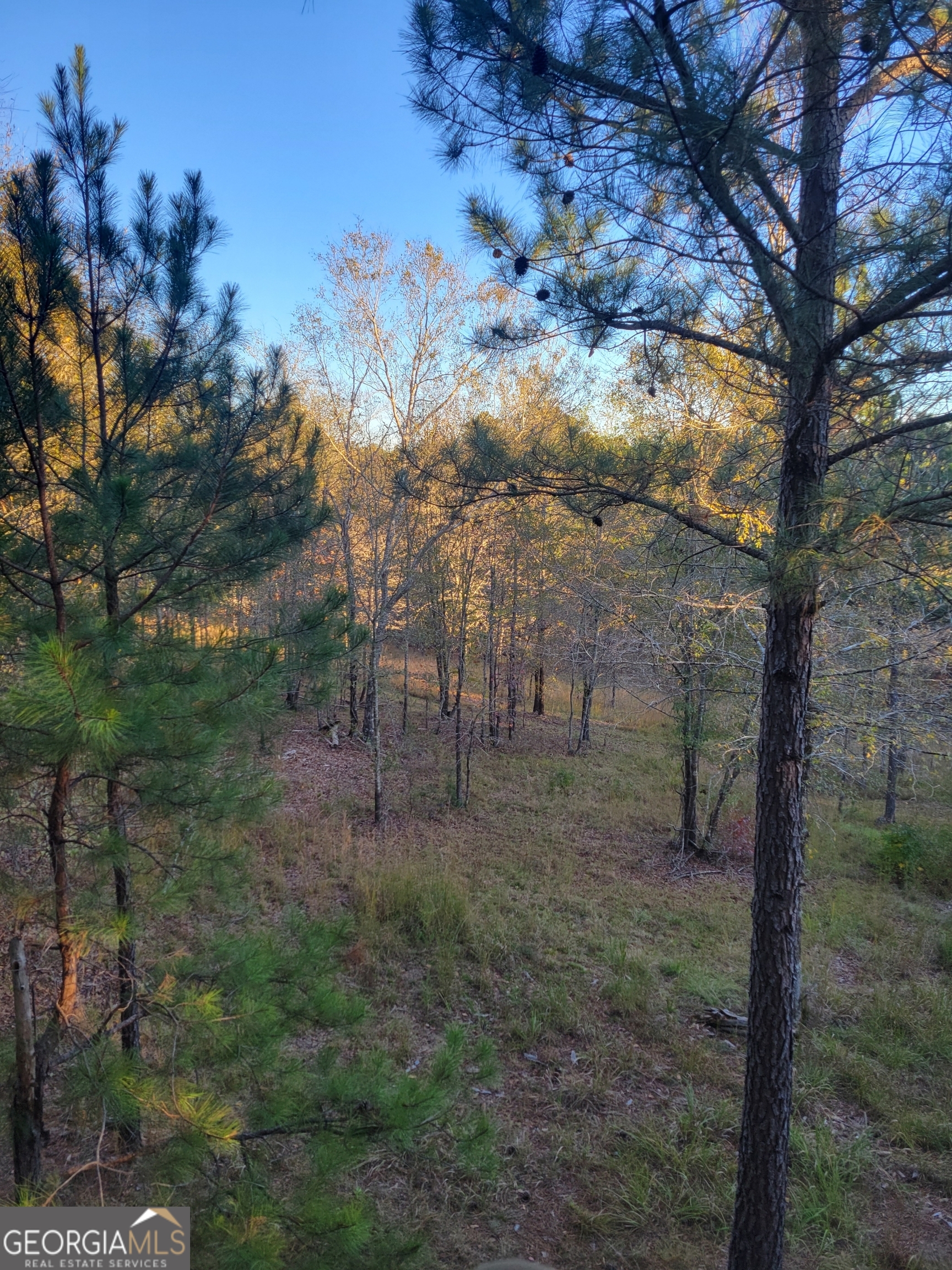 0 Scuffleboro Road Southeast Eatonton, GA 31024 - Photo 63 of 77