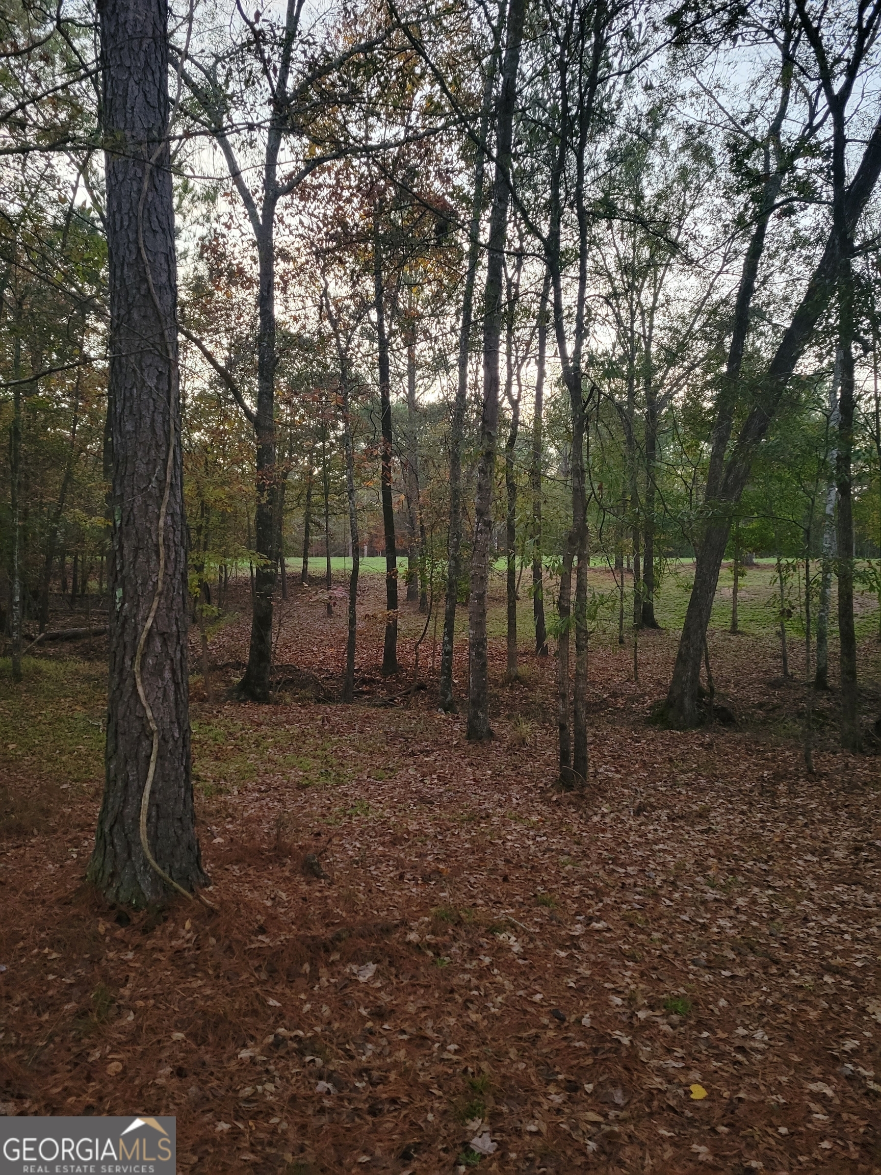0 Scuffleboro Road Southeast Eatonton, GA 31024 - Photo 64 of 77 a view of a forest with trees in the background