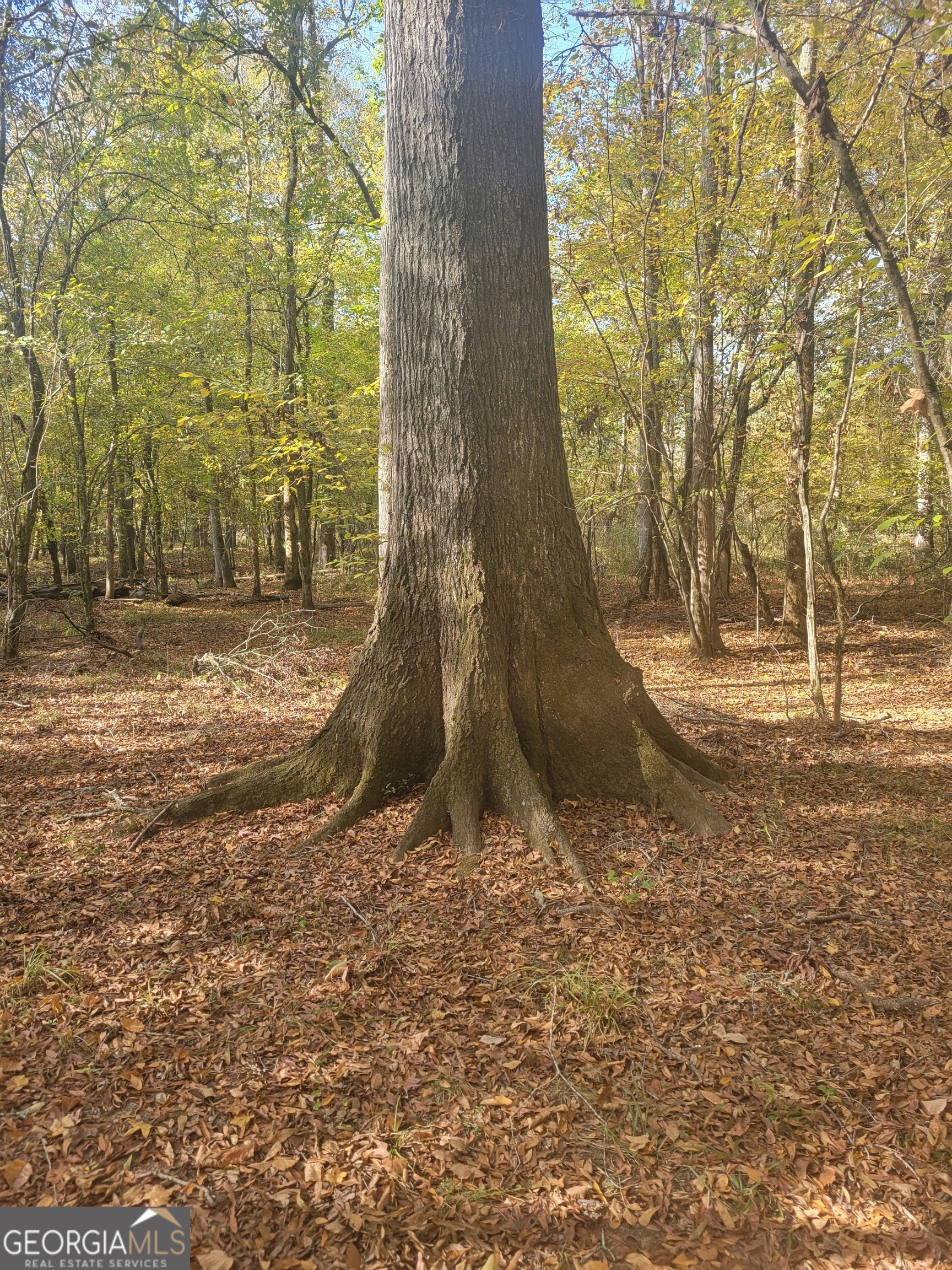 0 Scuffleboro Road Southeast Eatonton, GA 31024 - Photo 65 of 77 a backyard of a house with lots of green space