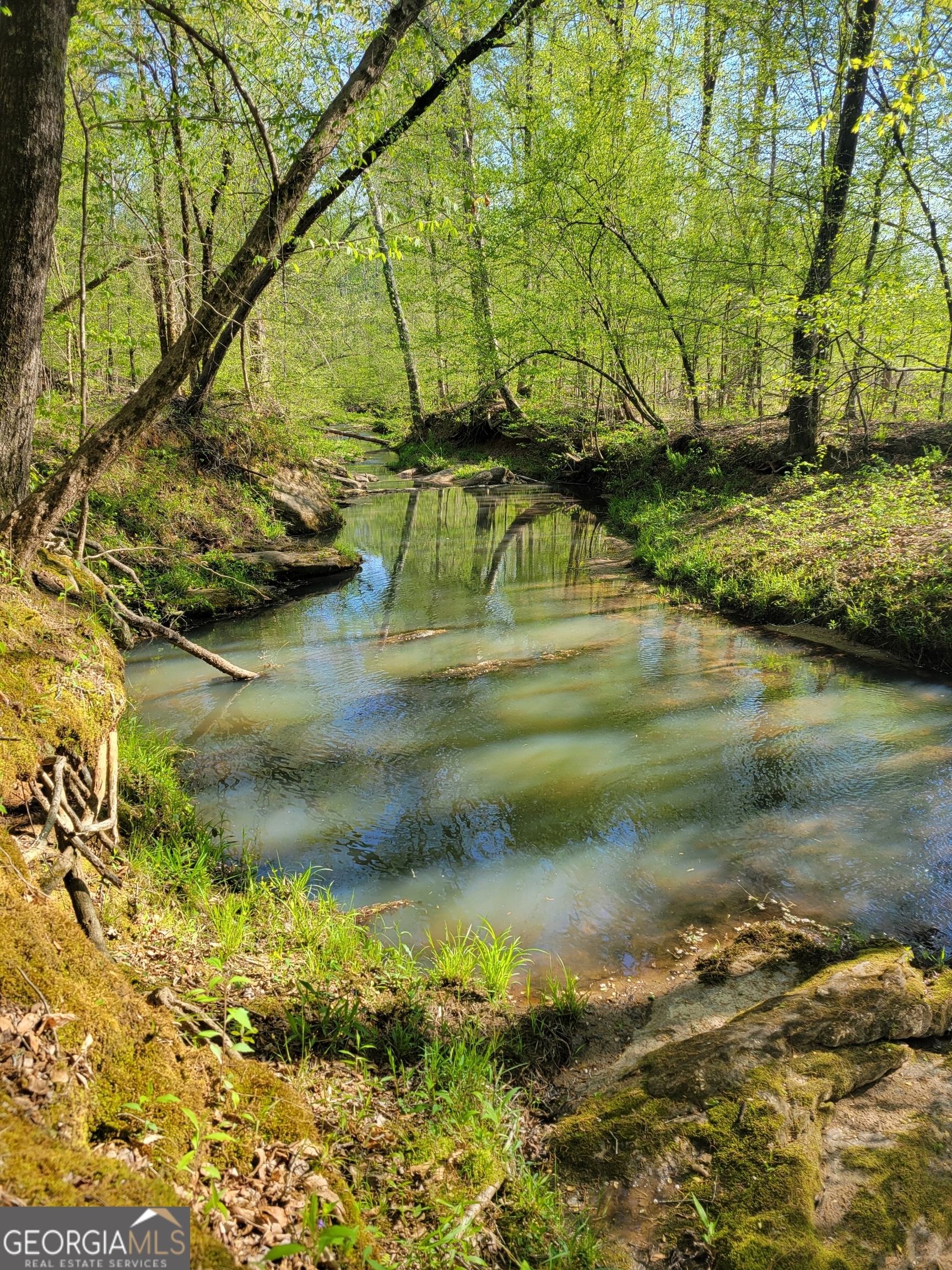 0 Scuffleboro Road Southeast Eatonton, GA 31024 - Photo 66 of 77 a view of swimming pool from a yard