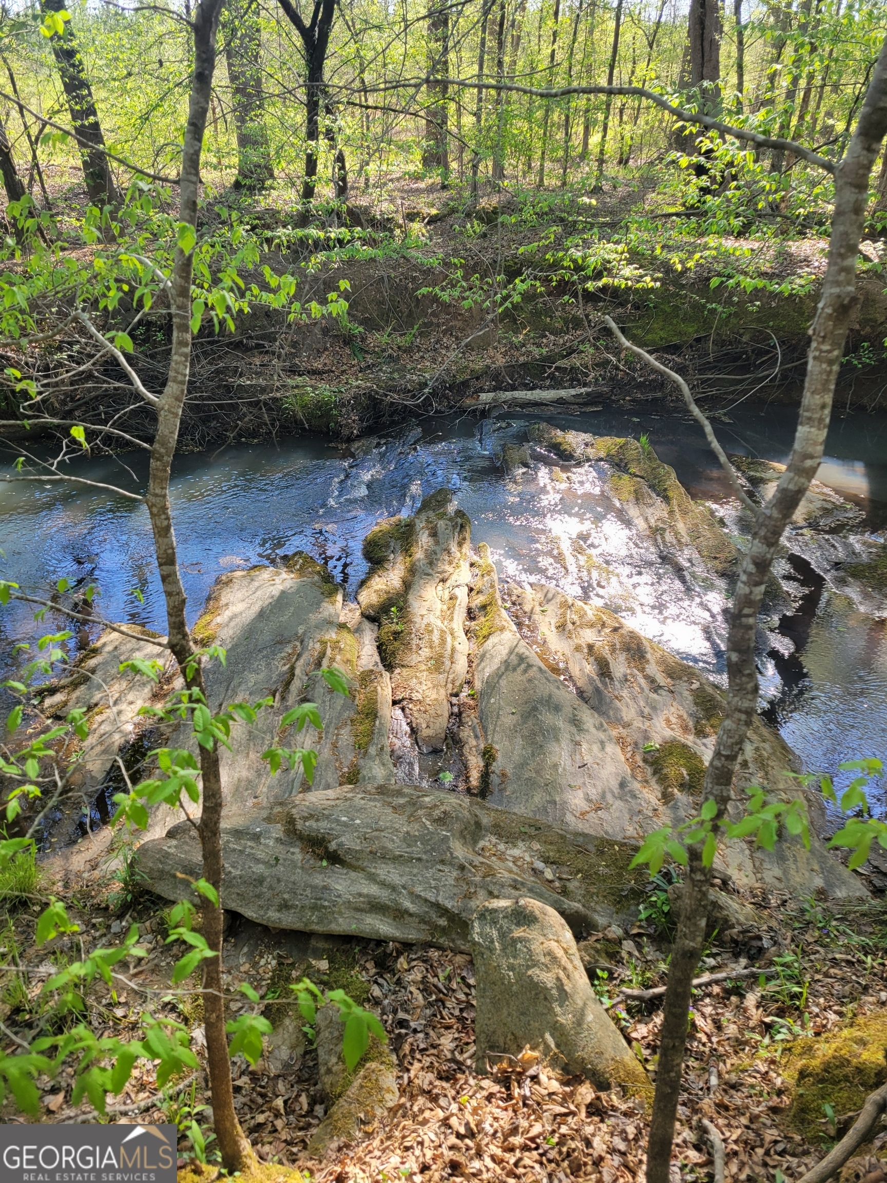 0 Scuffleboro Road Southeast Eatonton, GA 31024 - Photo 67 of 77 a view of swimming pool from a lake view