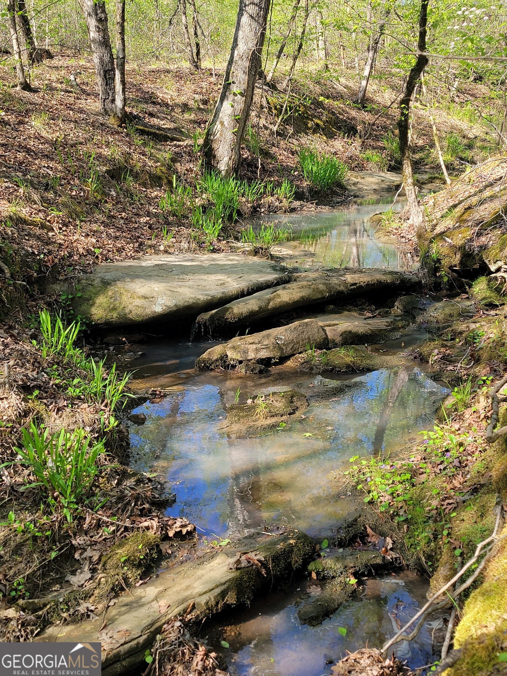 0 Scuffleboro Road Southeast Eatonton, GA 31024 - Photo 68 of 77