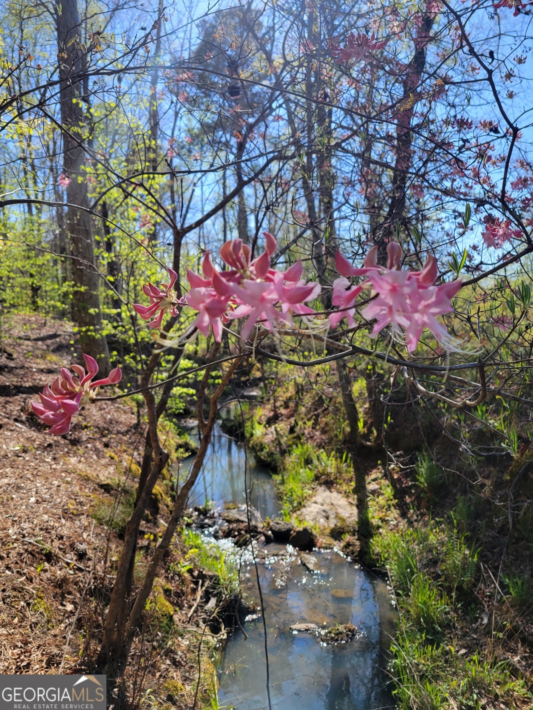 0 Scuffleboro Road Southeast Eatonton, GA 31024 - Photo 69 of 77
