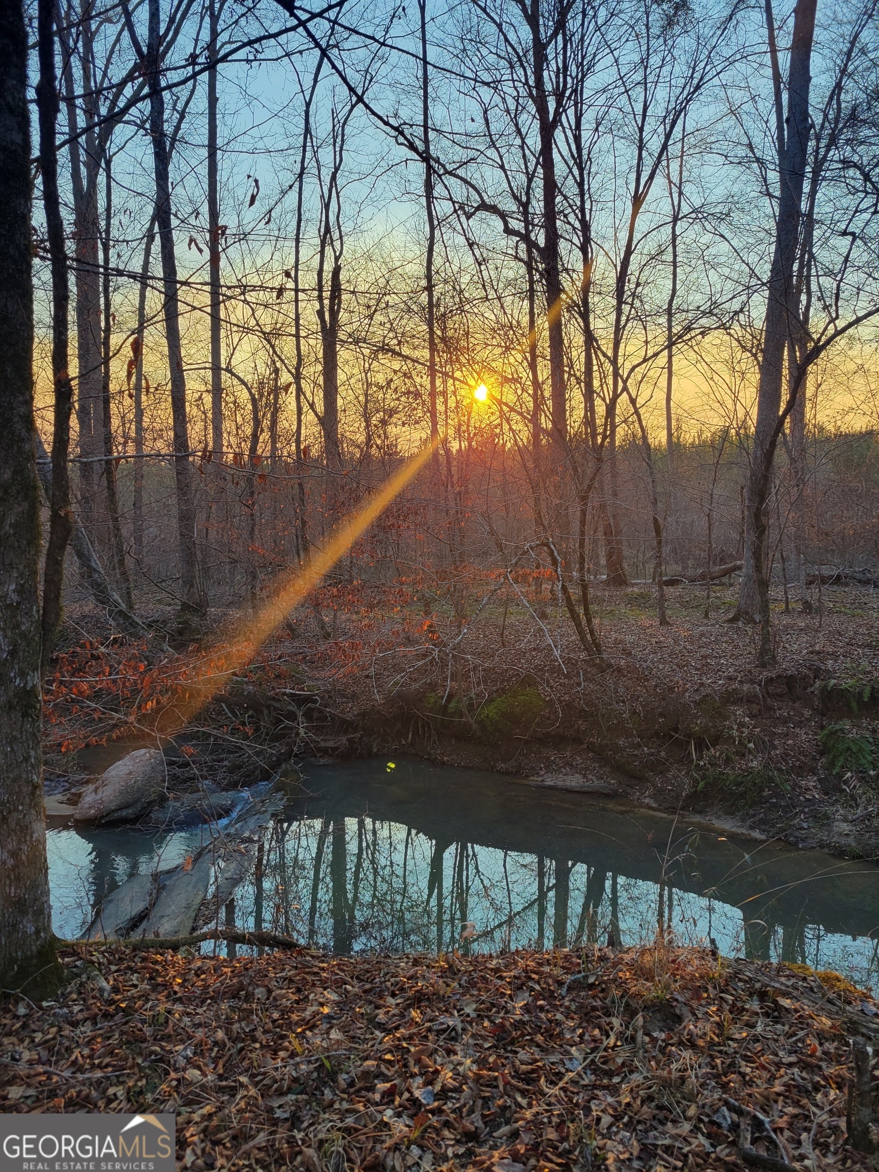 0 Scuffleboro Road Southeast Eatonton, GA 31024 - Photo 70 of 77 a view of backyard with large trees and wooden fence