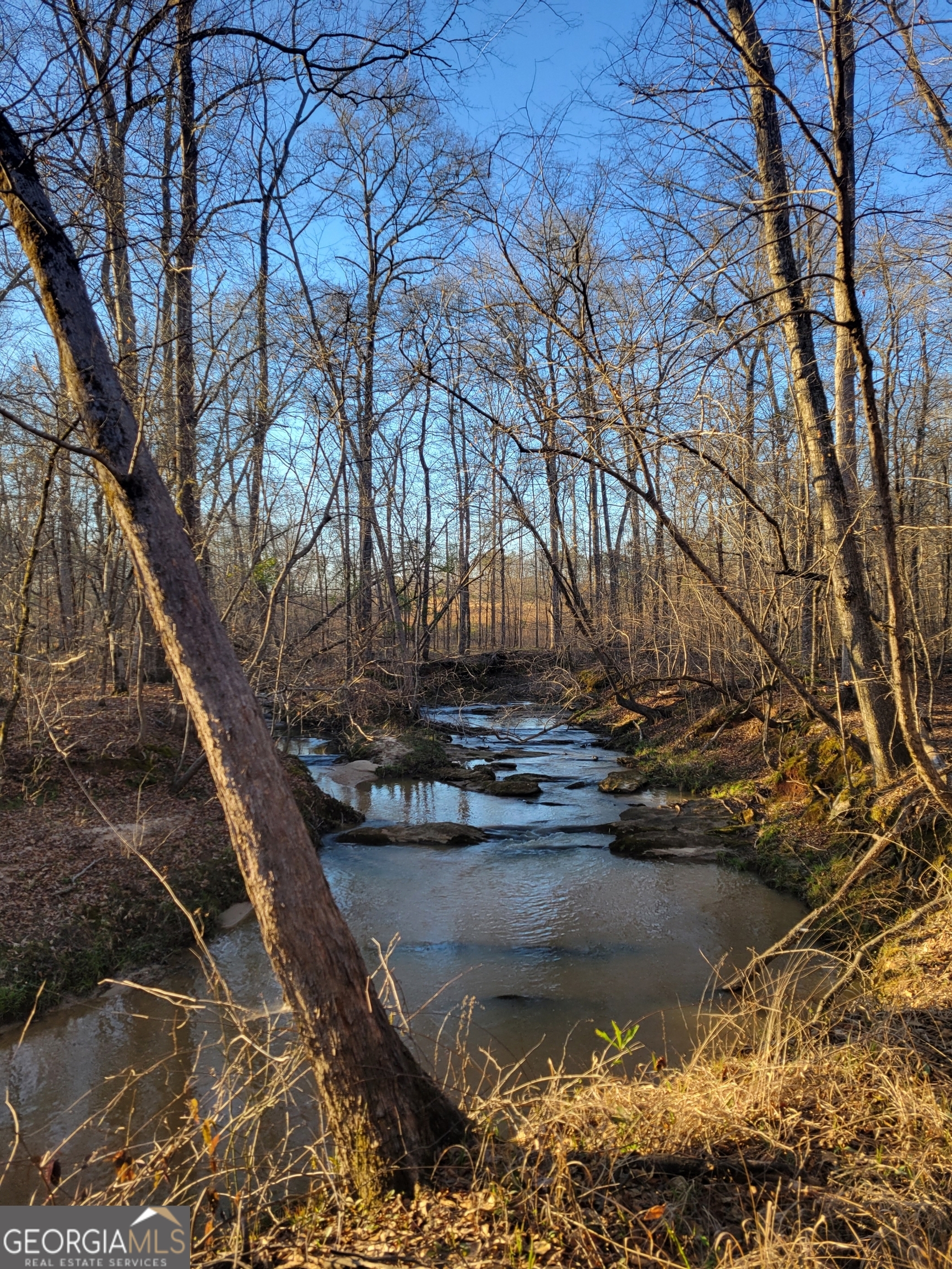 0 Scuffleboro Road Southeast Eatonton, GA 31024 - Photo 72 of 77