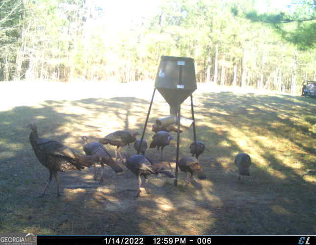 0 Scuffleboro Road Southeast Eatonton, GA 31024 - Photo 73 of 77 a view of outside space