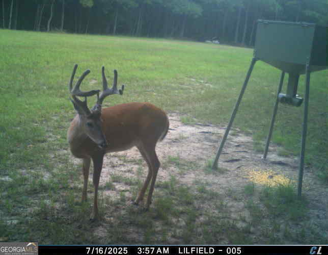 0 Scuffleboro Road Southeast Eatonton, GA 31024 - Photo 74 of 77 a view of a backyard