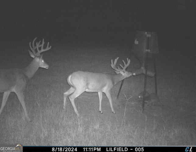 0 Scuffleboro Road Southeast Eatonton, GA 31024 - Photo 75 of 77 a dining room with wooden floor table and chairs