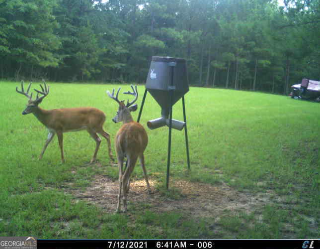 0 Scuffleboro Road Southeast Eatonton, GA 31024 - Photo 77 of 77 a view of a bench in a garden