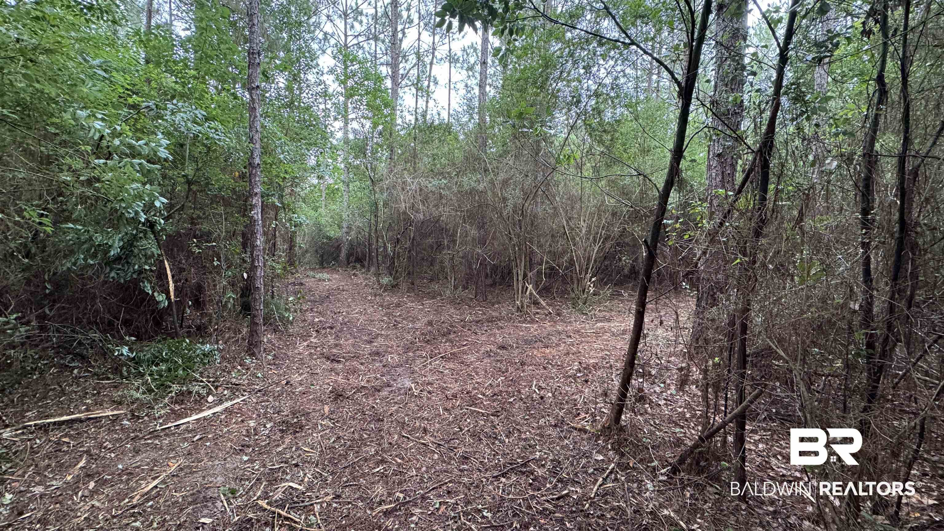 0 Bohling Street Elberta, AL 36530 - Photo 16 of 23 View of tree filled area