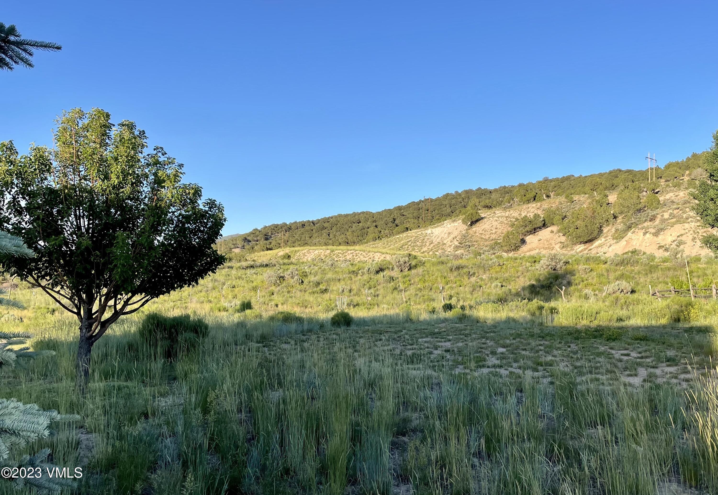 350 Bluffs Drive Eagle, CO 81631 - Photo 4 of 5 a view of a lush green space with sea