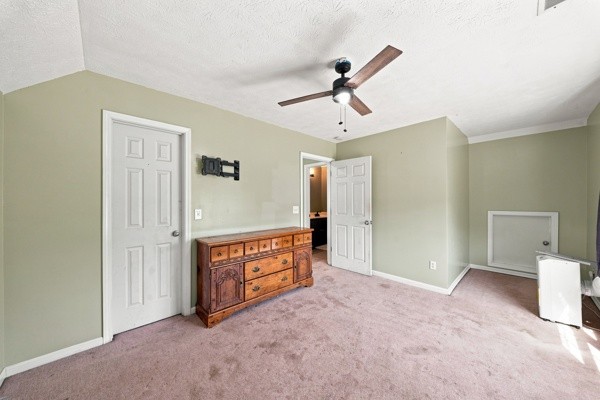 389 Ben Albert Road Cottontown, TN 37048 - Photo 26 of 43 Gallery Image 26