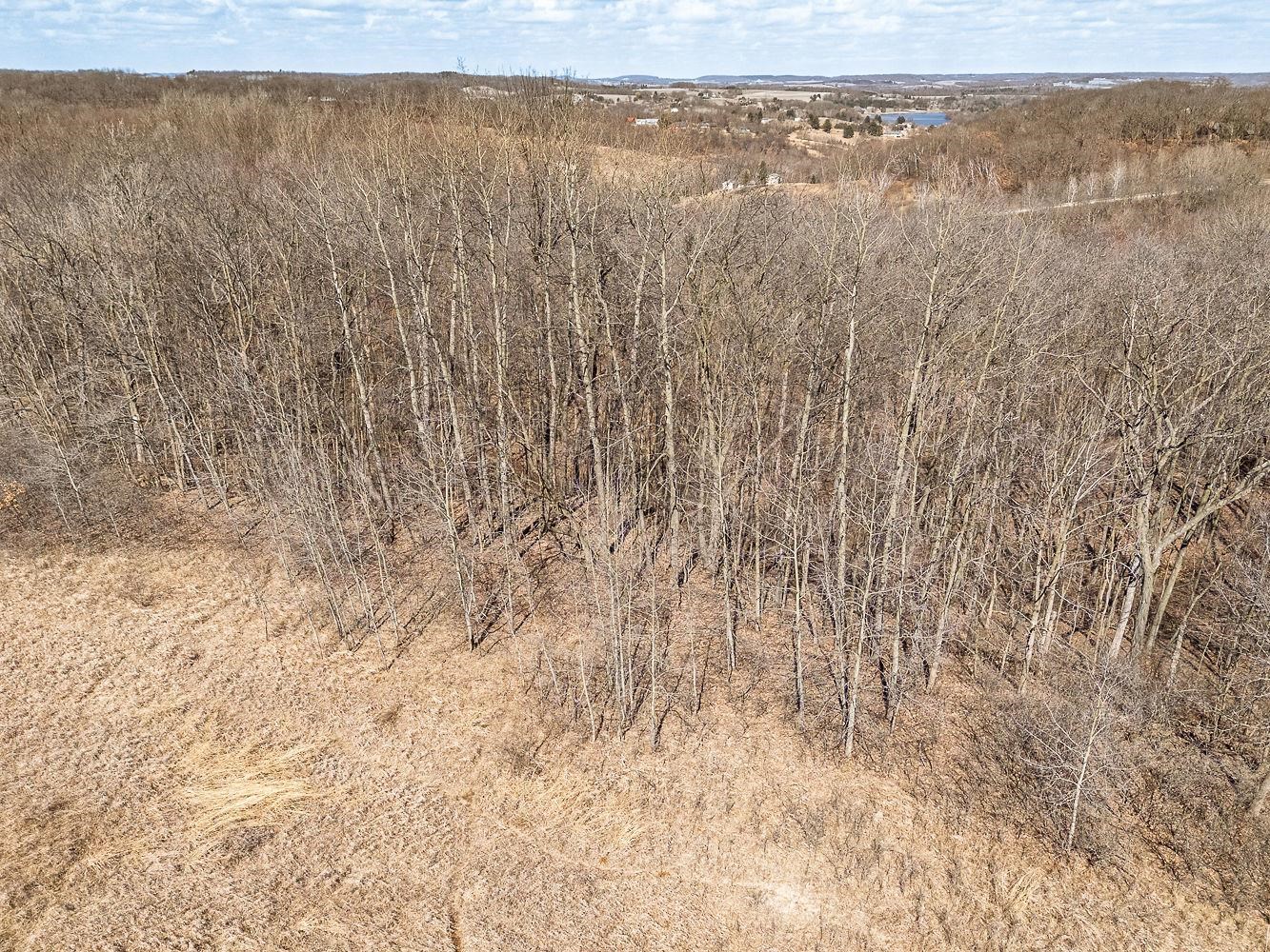 Lot 1016 Blue Ridge La Valle, WI 53941 - Photo 10 of 12