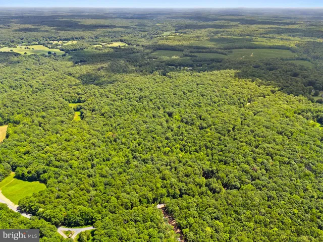 a view of a field with an ocean view