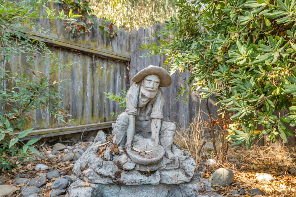 11781 Arno Road Wilton, CA 95693 - Photo 72 of 76