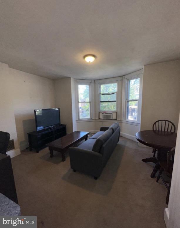 304 East Front Street Media, PA 19063 - Photo 5 of 9 a living room with furniture and a potted plant