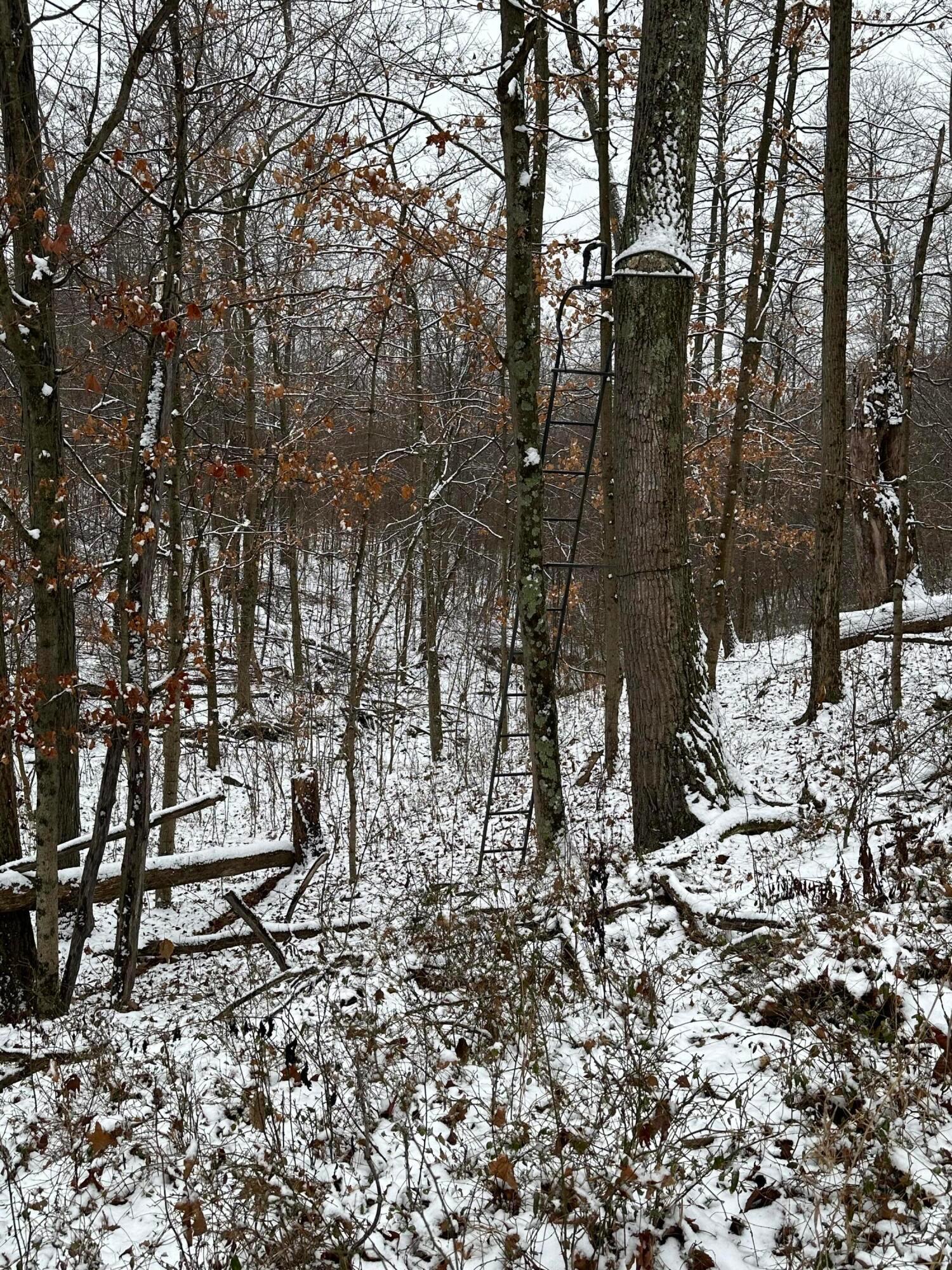 0 Black Run Road Chillicothe, OH 45601 - Photo 4 of 6 IMG_5145