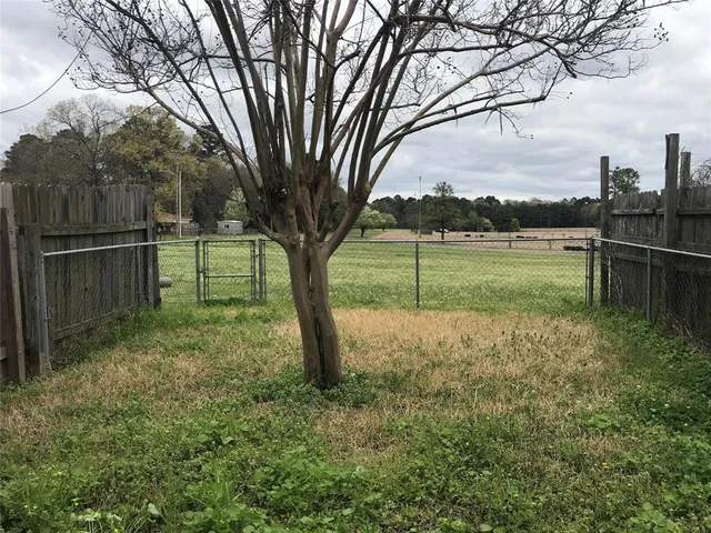 a view of a yard with a large tree