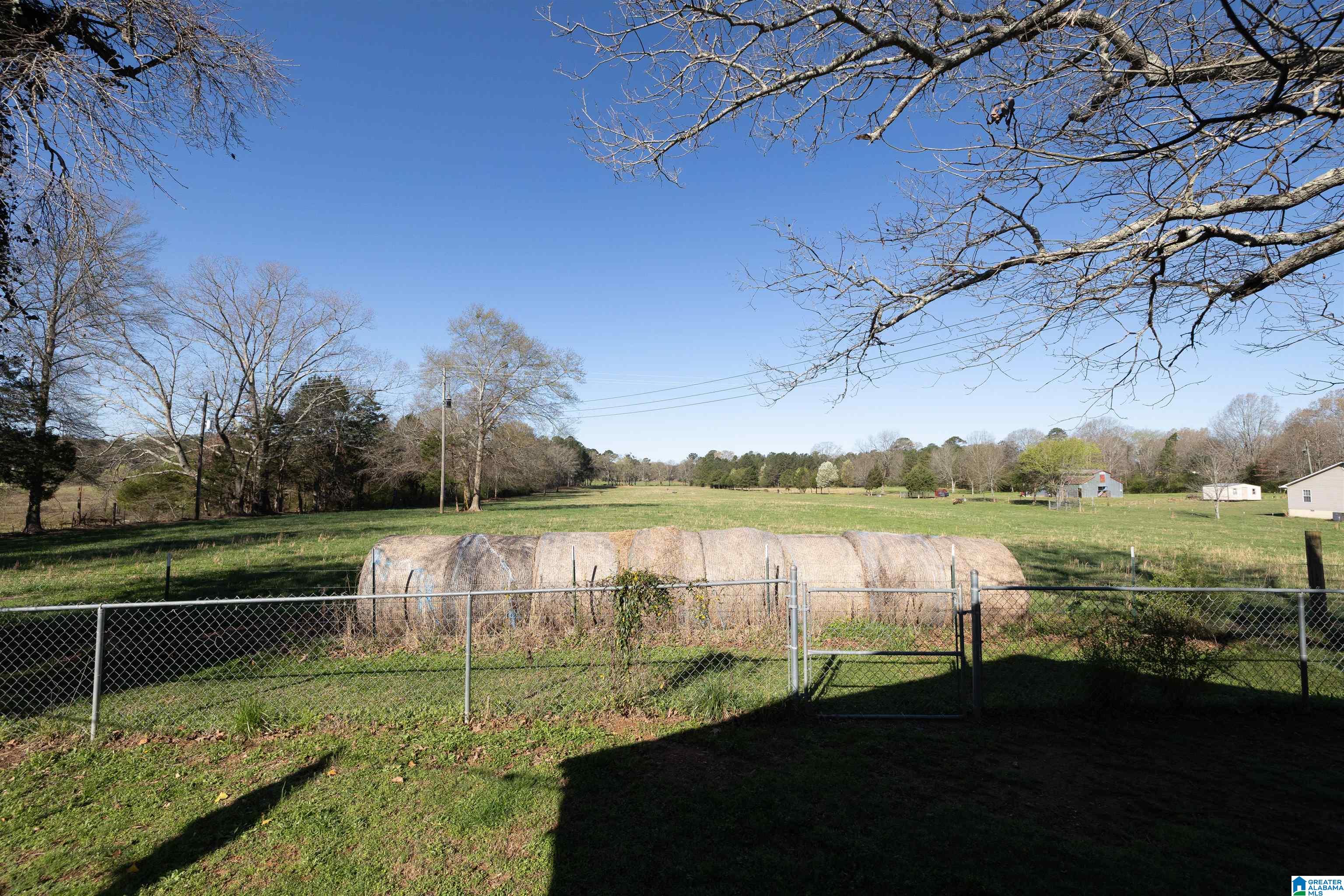 814 Hopeful Road Munford, AL 36268 - Photo 17 of 23