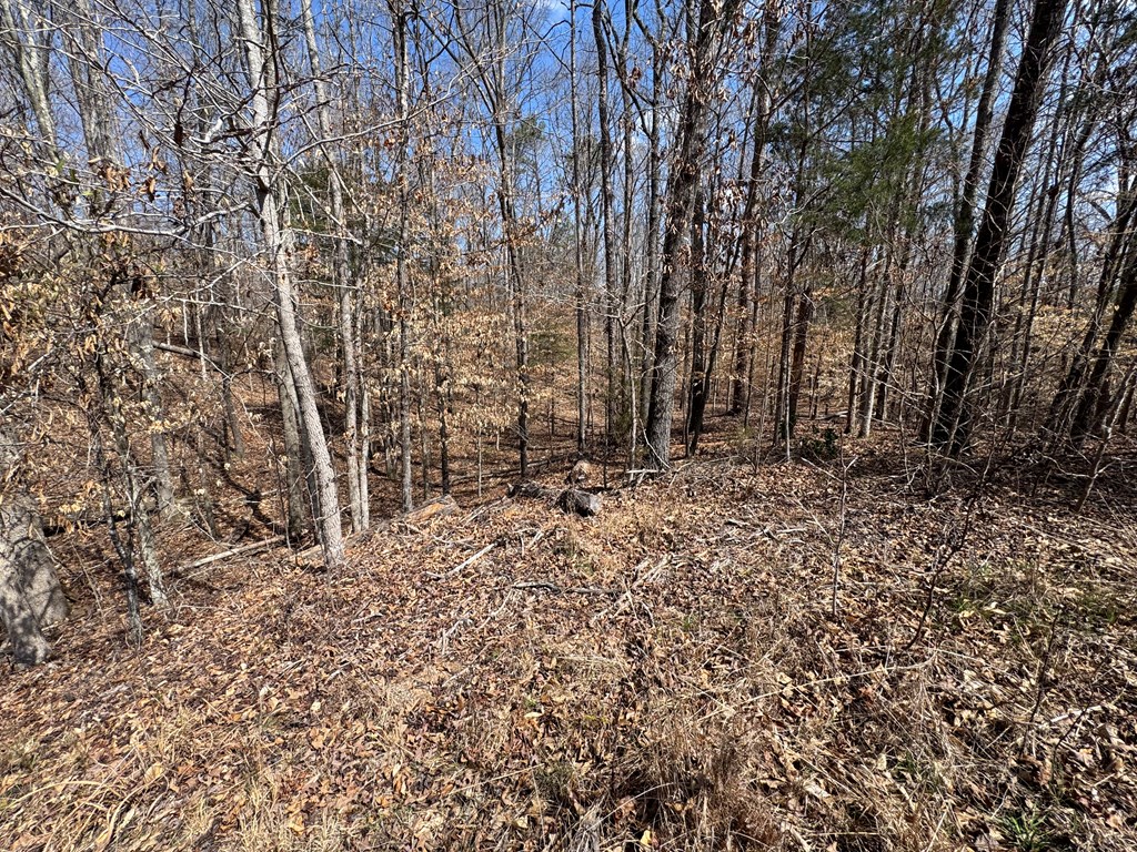 22 Stone Gate Farm Road Donalds, SC 29638 - Photo 14 of 26