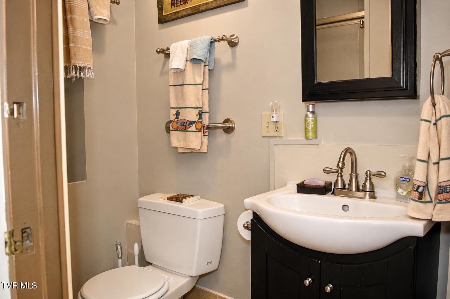 282 Ripshin Lake Road Roan Mountain, TN 37687 - Photo 61 of 72 Bathroom 2