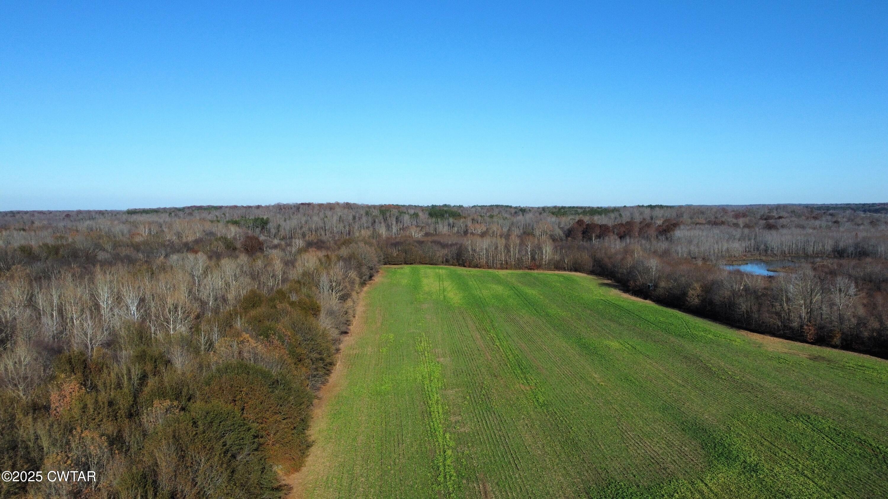 0 Talley Store Road Henderson, TN 38340 - Photo 2 of 8 dji_fly_20251123_143202_160_176393129723