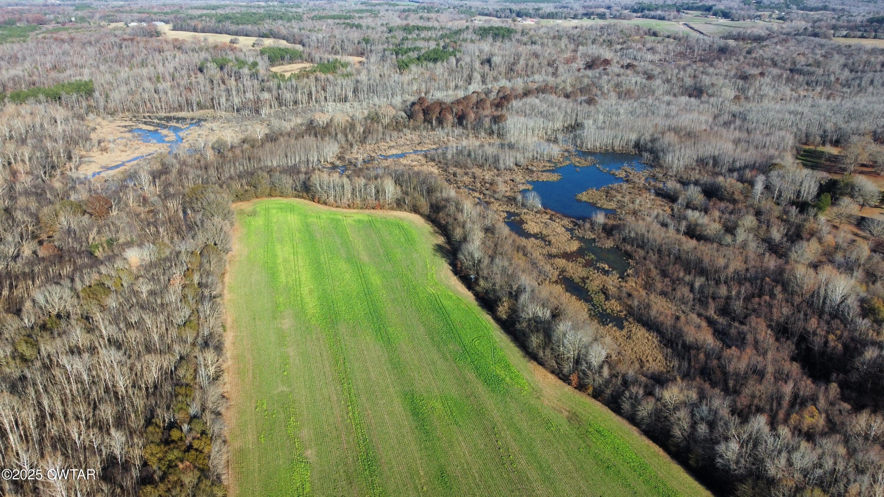 0 Talley Store Road Henderson, TN 38340 - Photo 3 of 8 dji_fly_20251123_143336_163_176393129457