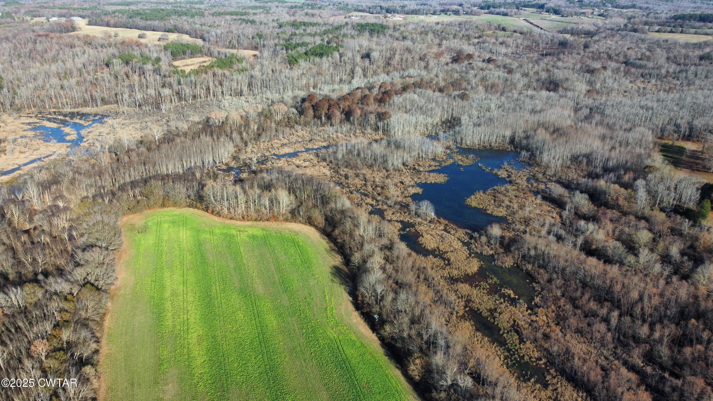 0 Talley Store Road Henderson, TN 38340 - Photo 4 of 8 dji_fly_20251123_143428_164_176393129372