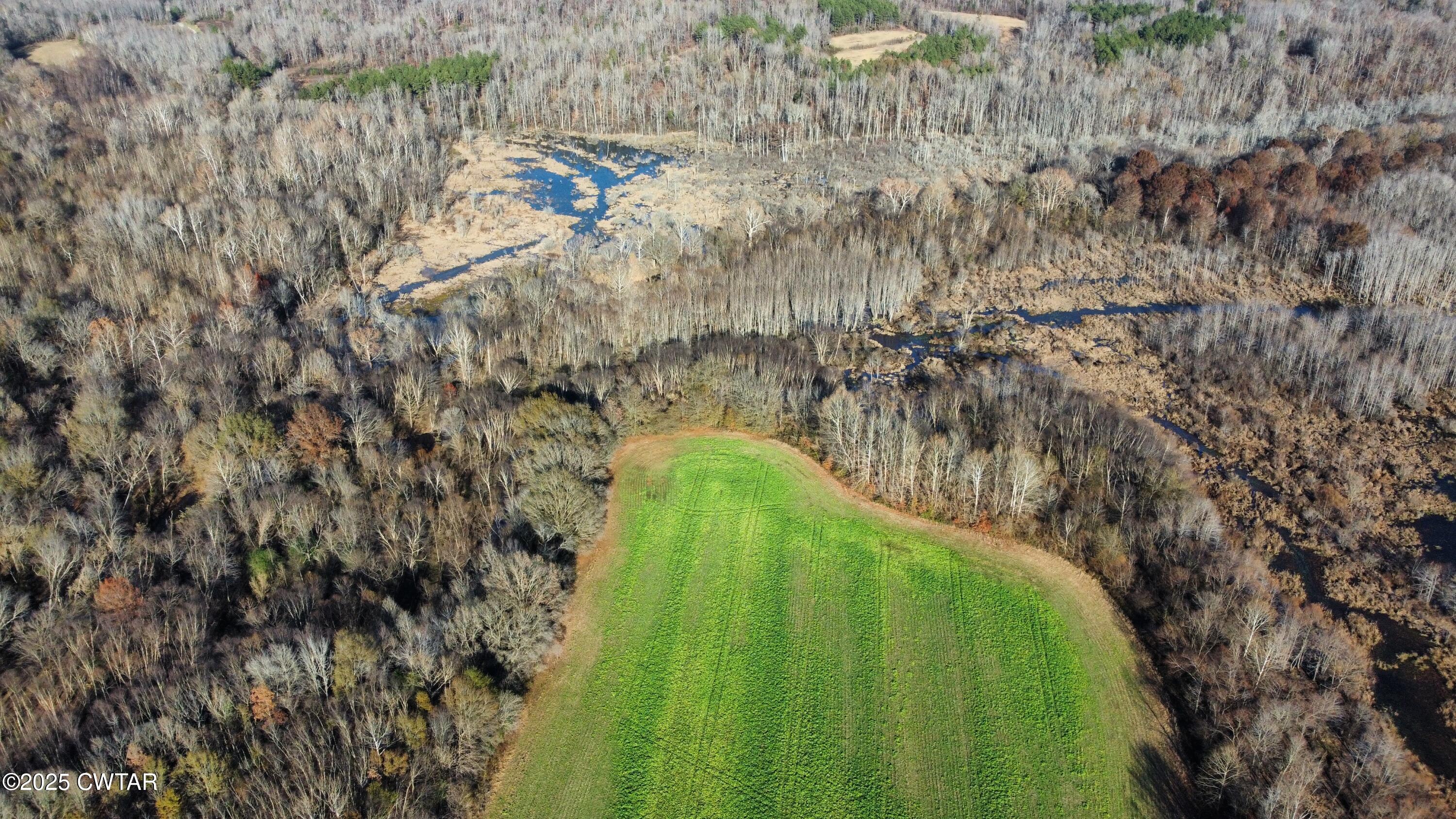 0 Talley Store Road Henderson, TN 38340 - Photo 6 of 8 dji_fly_20251123_143522_166_176393129191
