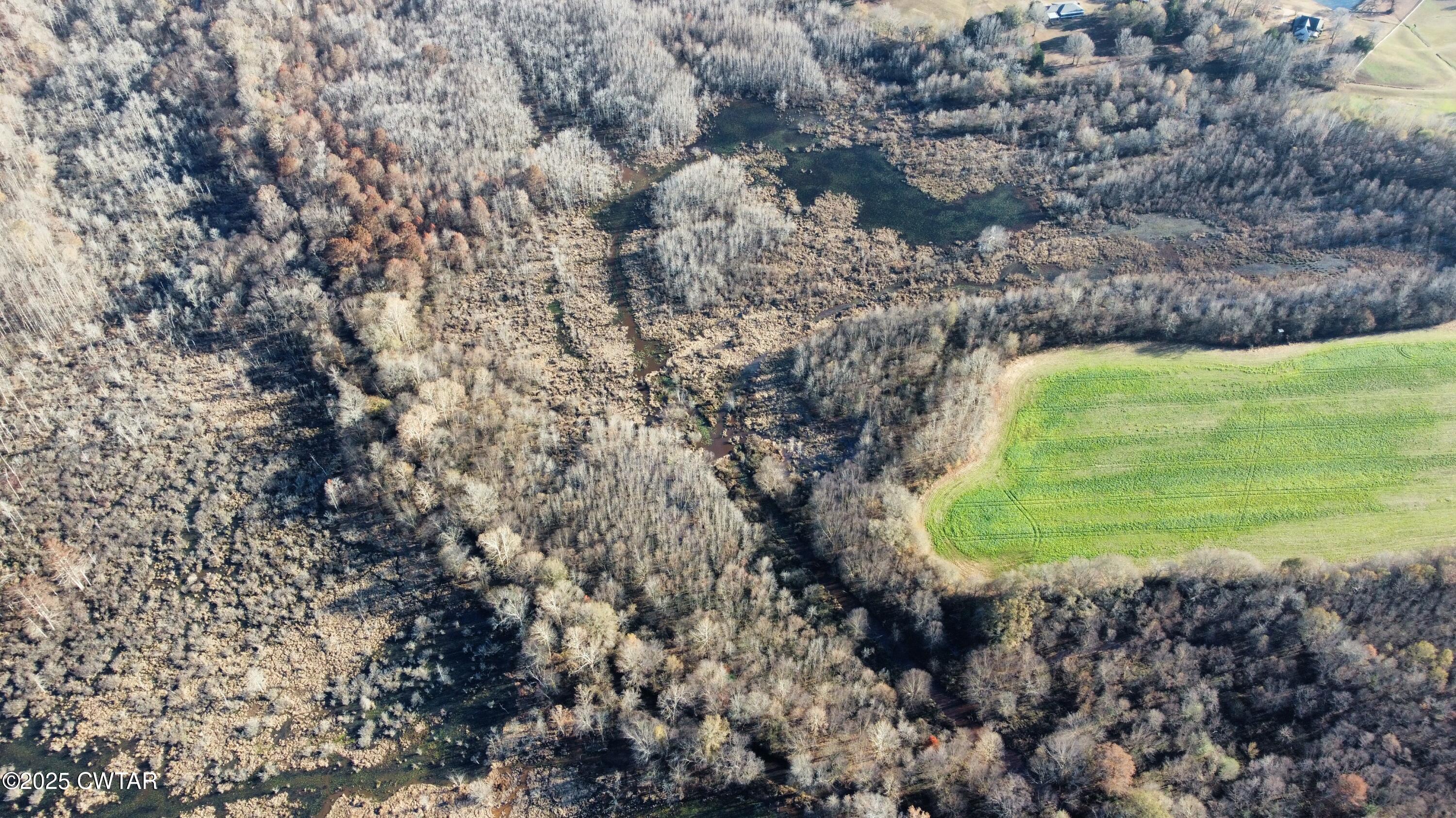 0 Talley Store Road Henderson, TN 38340 - Photo 7 of 8 dji_fly_20251123_143928_170_176393128844