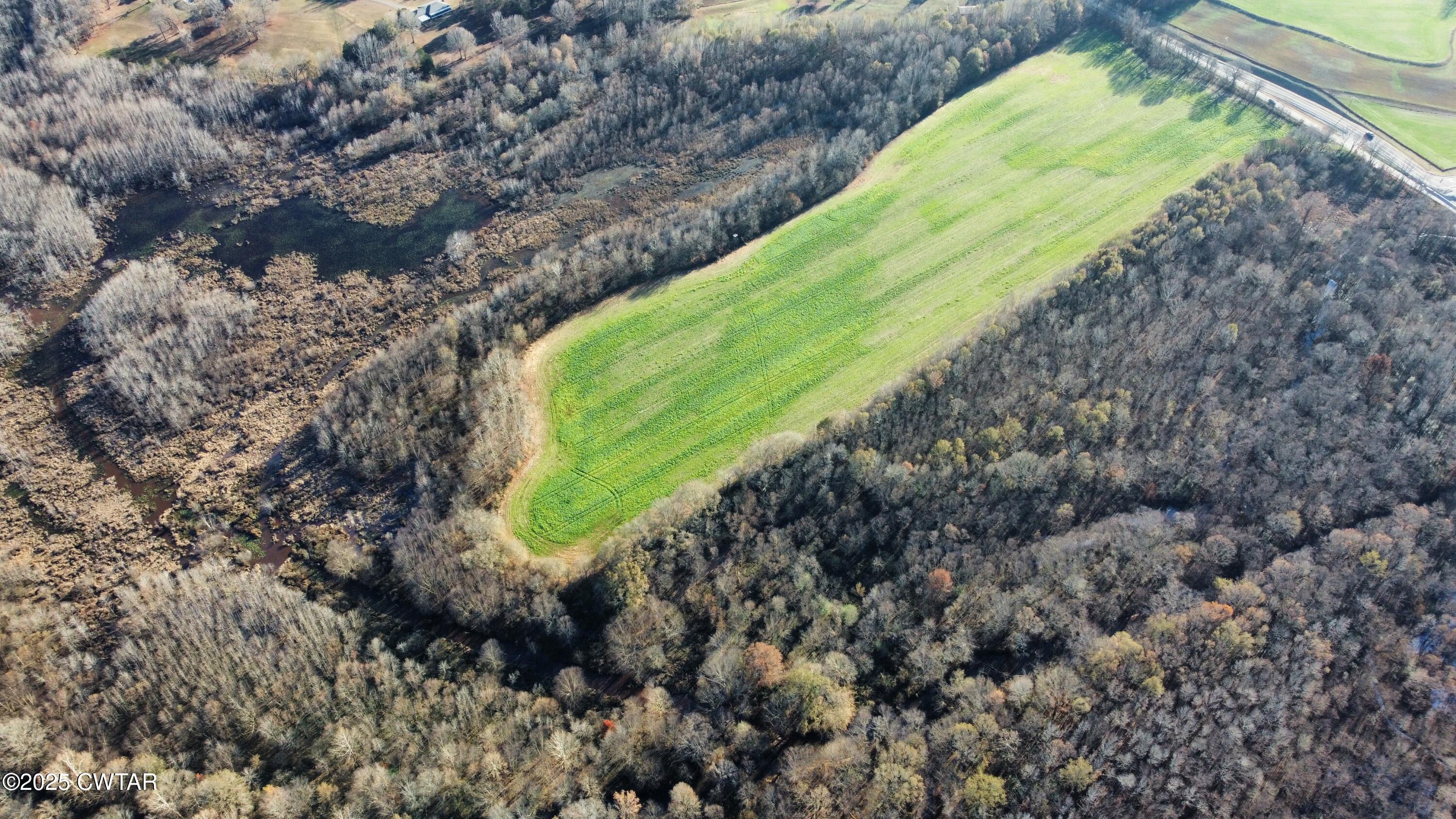 0 Talley Store Road Henderson, TN 38340 - Photo 8 of 8 dji_fly_20251123_143934_171_176393128763