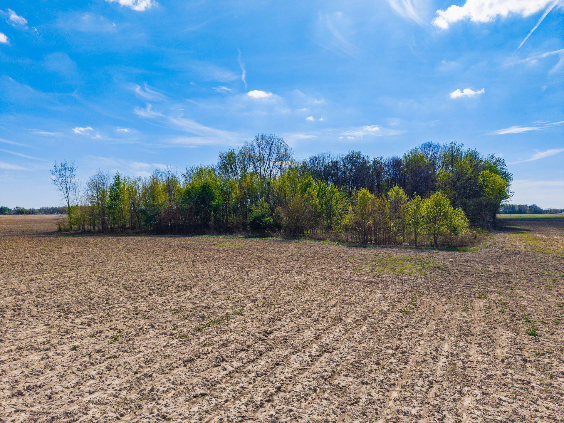 0 Fields Road Richwood, OH 43344 - Photo 10 of 30 .