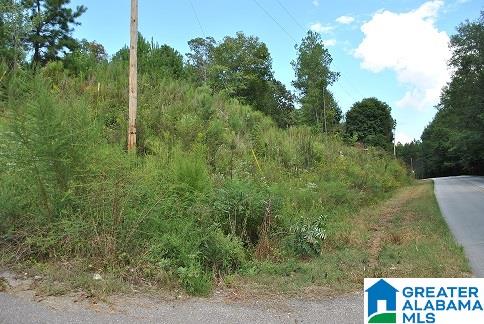Bluff Springs Road Ashland, AL 36251 - Photo 4 of 12