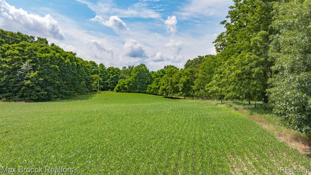 6694 North Fleming Road Howell, MI 48855 - Photo 38 of 45